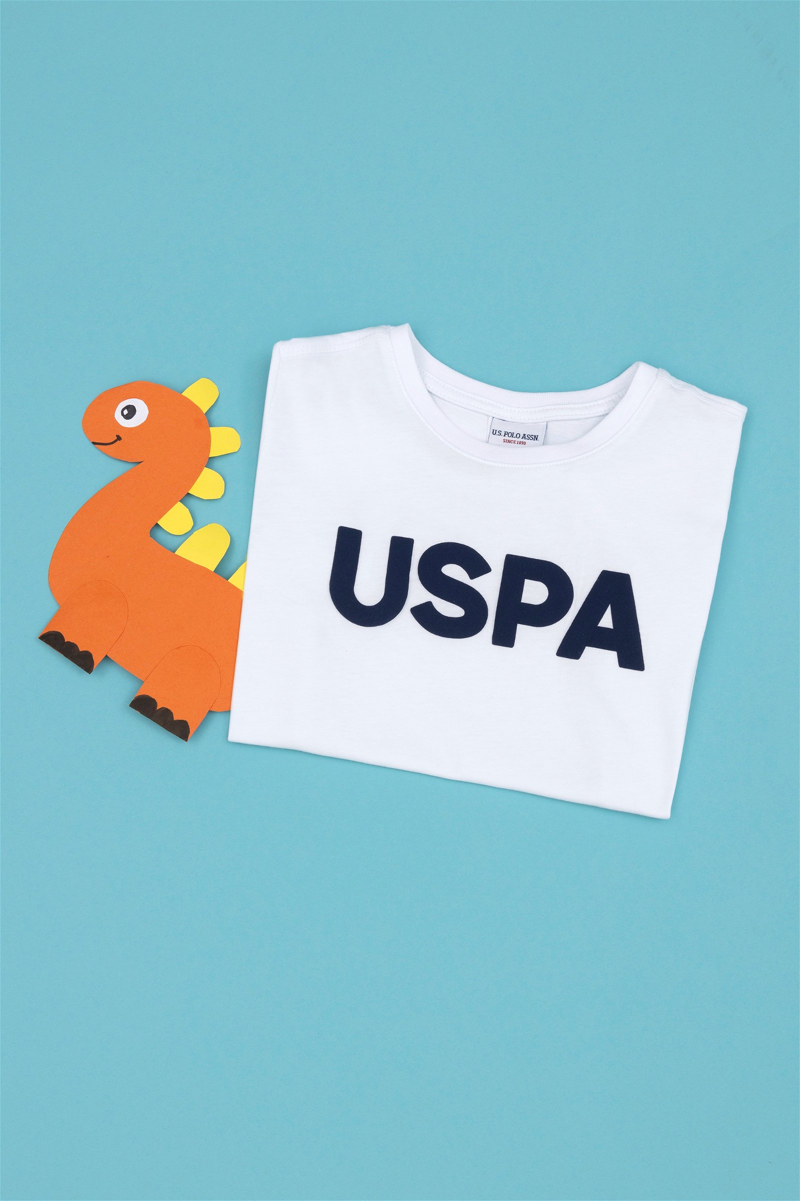 تی شرت  سفید  رگولار  پسرانه یو اس پولو | US POLO ASSN