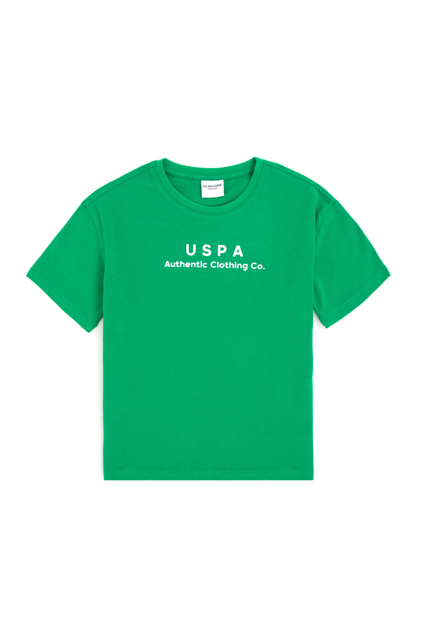 تی شرت  سبز  ریلکس  پسرانه یو اس پولو | US POLO ASSN