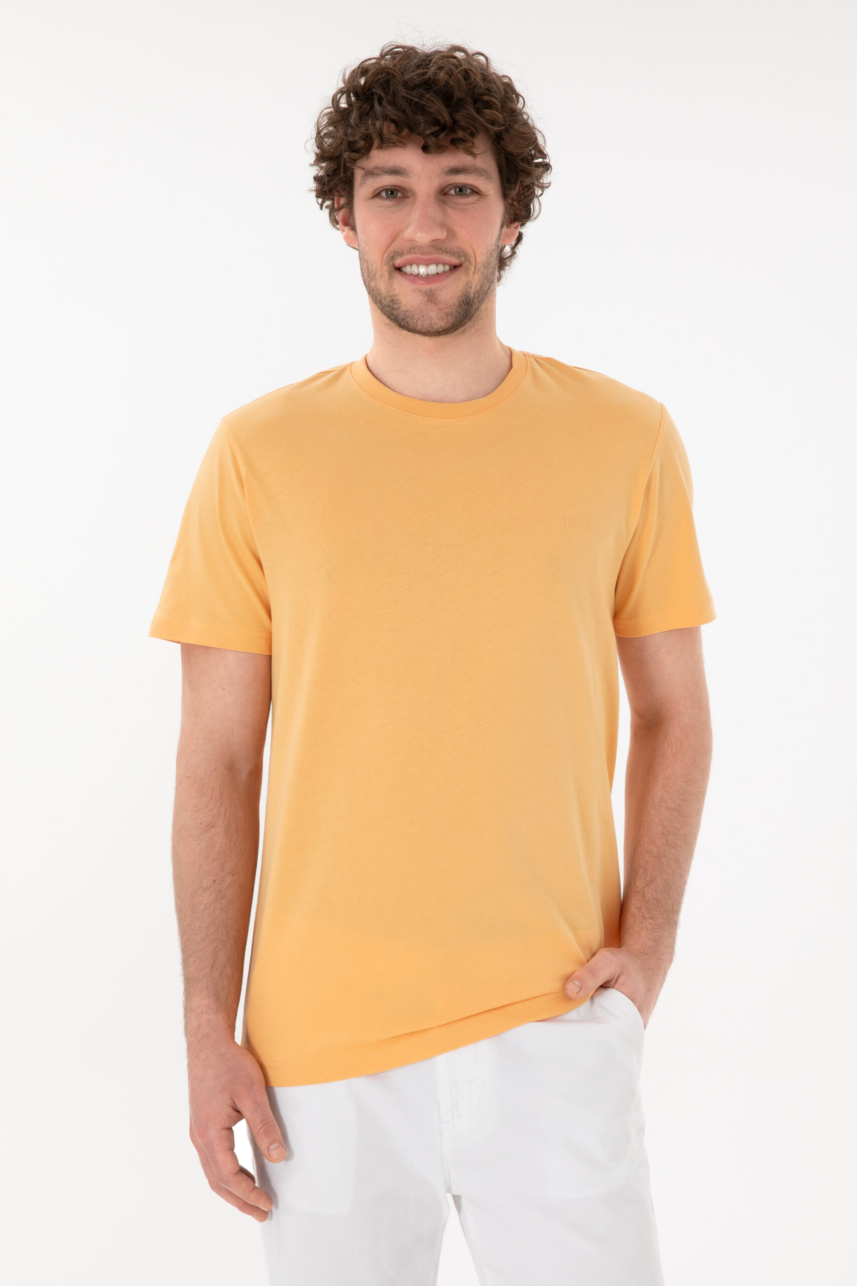 تی شرت  زرد  رگولار  مردانه یو اس پولو | US POLO ASSN