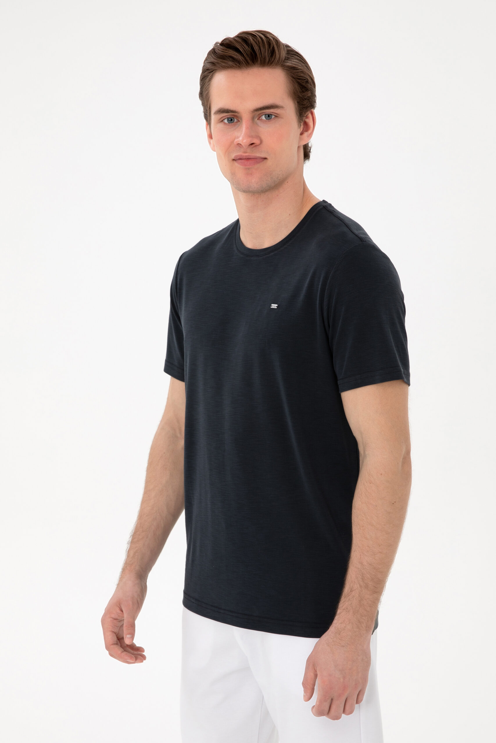 تی شرت یقه گرد سیاه  رگولار آستین کوتاه مردانه یو اس پولو | US POLO ASSN