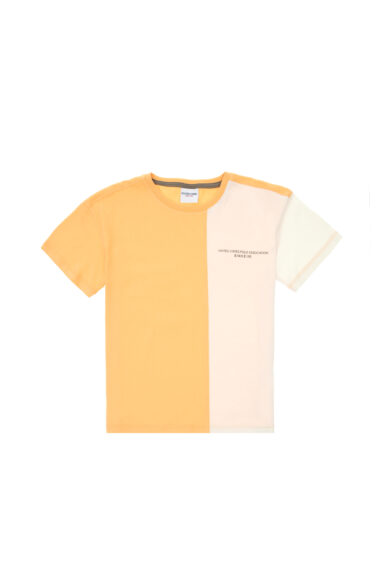 تی شرت  زرد  Oversize  پسرانه یو اس پولو | US POLO ASSN