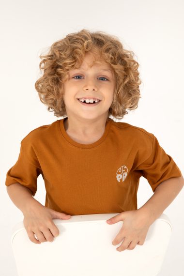 تی شرت بیسیک یقه گرد  نارگیلی  ریلکس  پسرانه یو اس پولو | US POLO ASSN