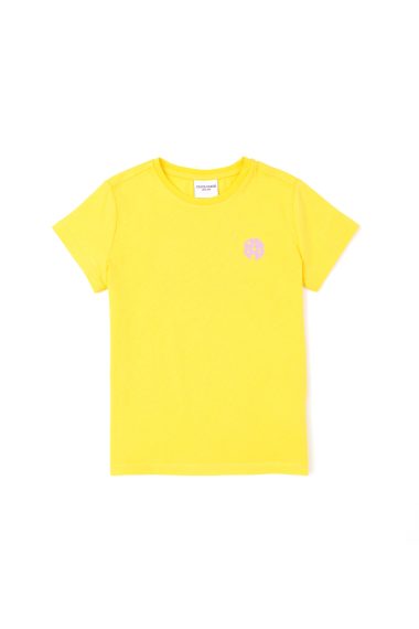 تی شرت یقه گرد  زرد  رگولار  پسرانه یو اس پولو | US POLO ASSN
