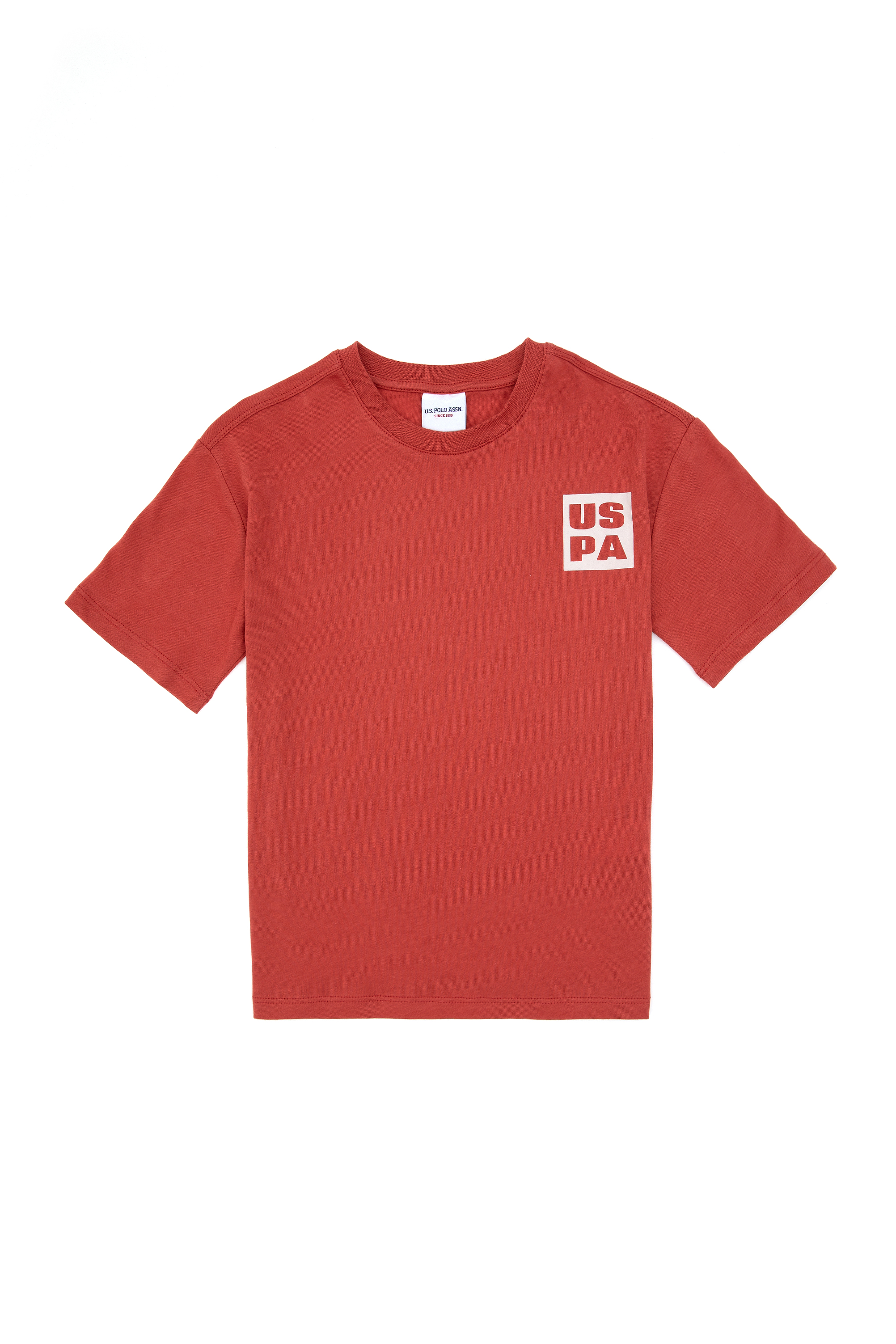 تی شرت یقه گرد رز خشک ریلکس پسرانه یو اس پولو | US POLO ASSN