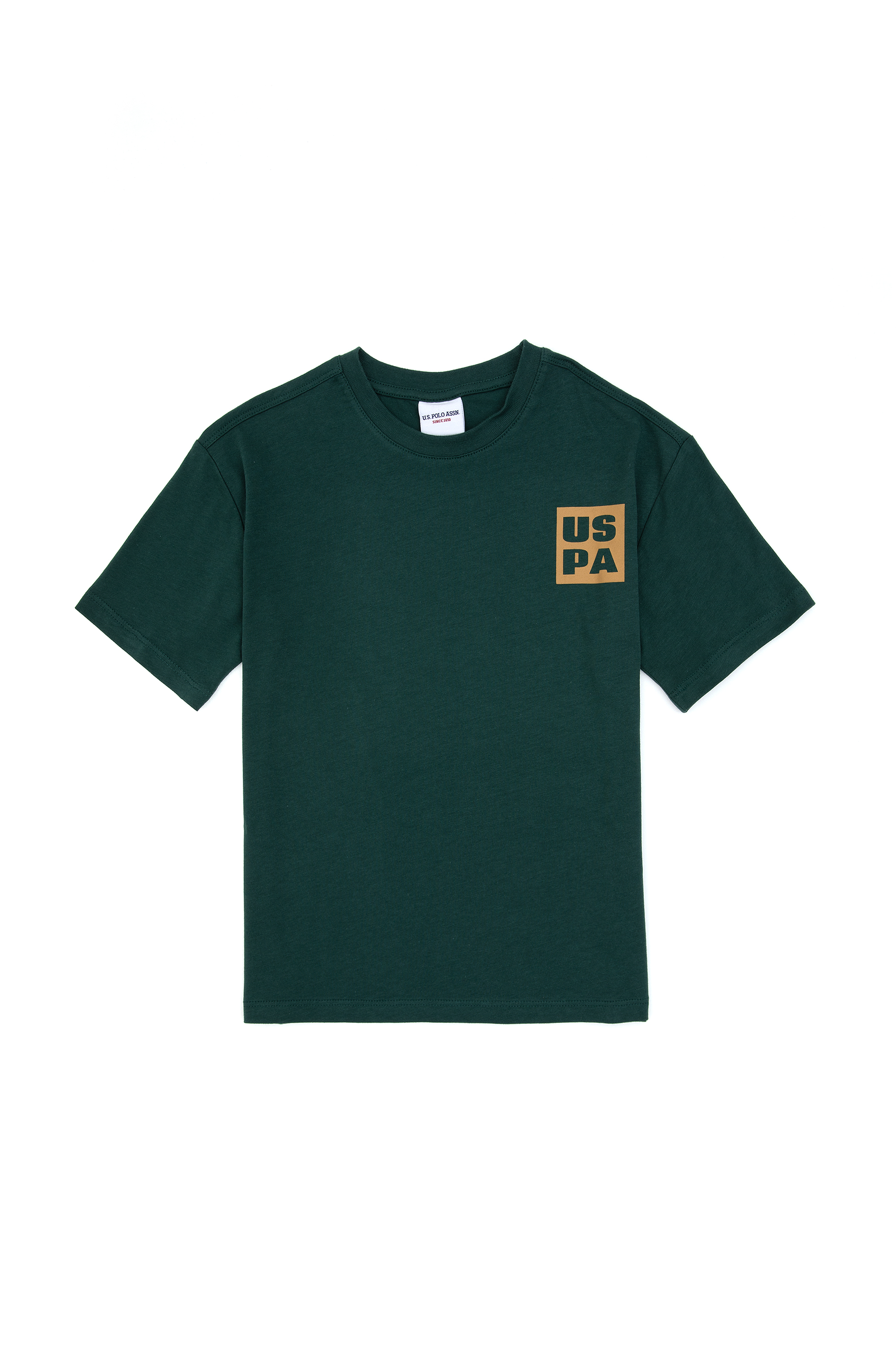 تی شرت یقه گرد سبز تیره ریلکس پسرانه یو اس پولو | US POLO ASSN