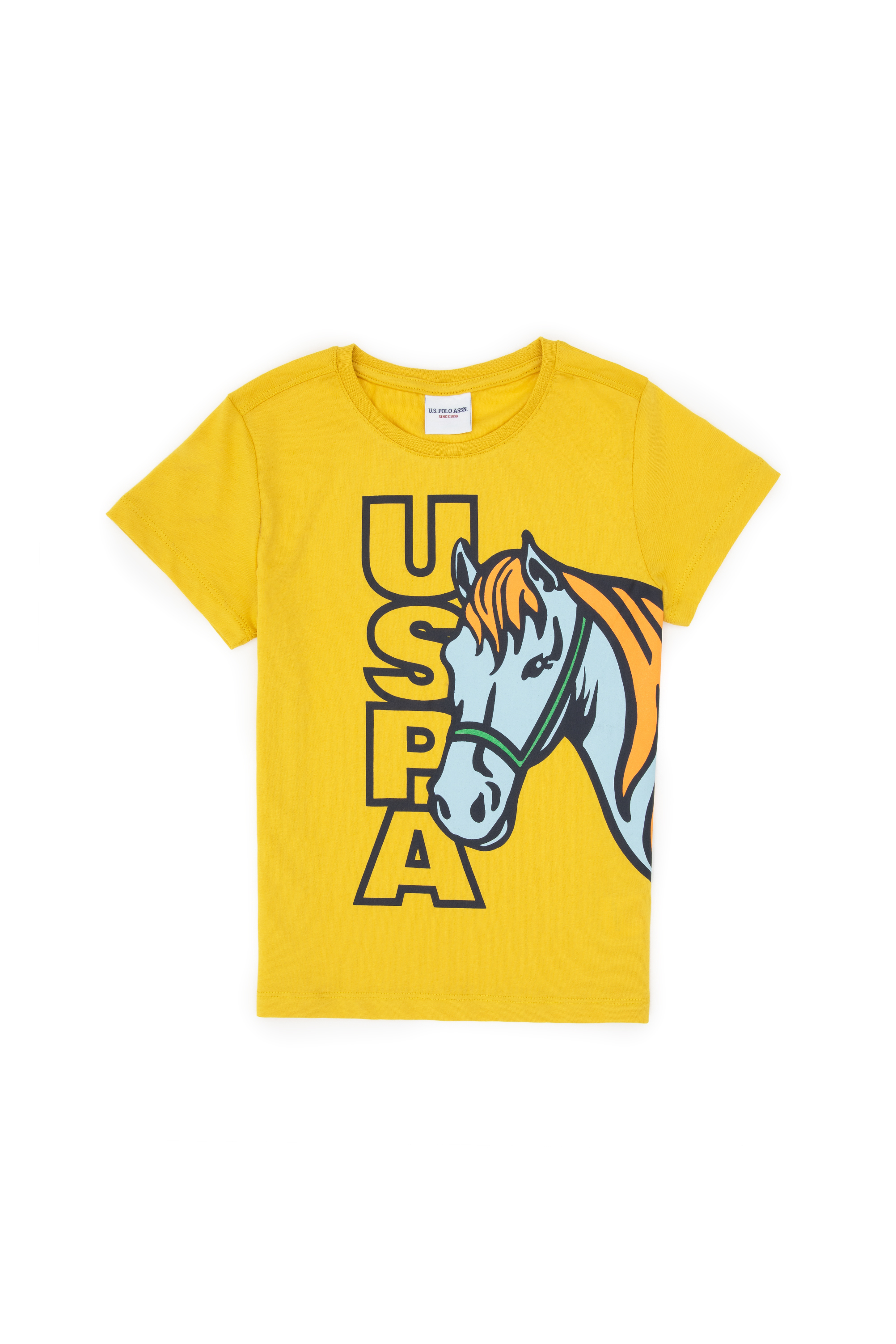 تی شرت یقه گرد زرد تیره رگولار پسرانه یو اس پولو | US POLO ASSN