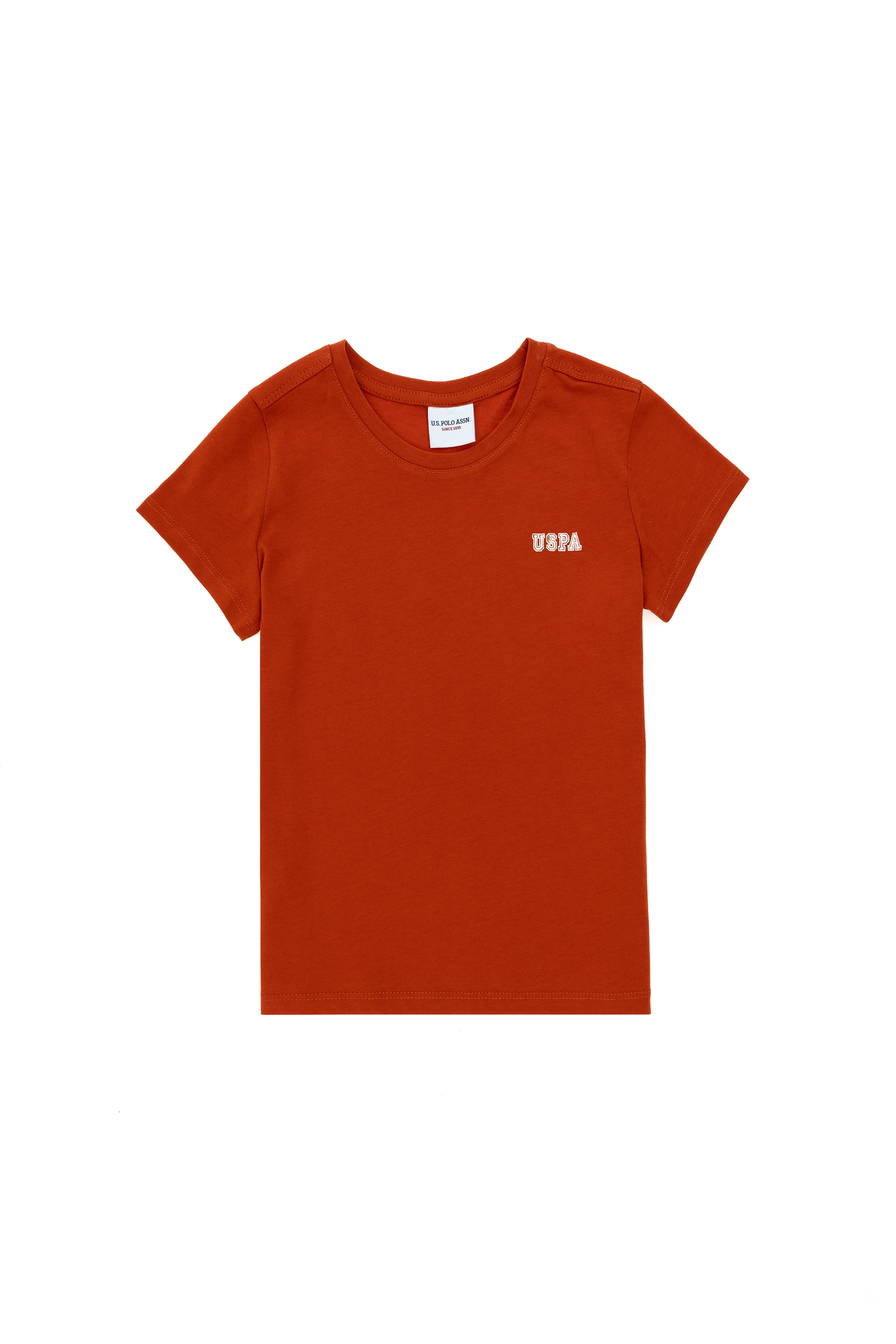 تی شرت یقه گرد آجری رگولار پسرانه یو اس پولو | US POLO ASSN