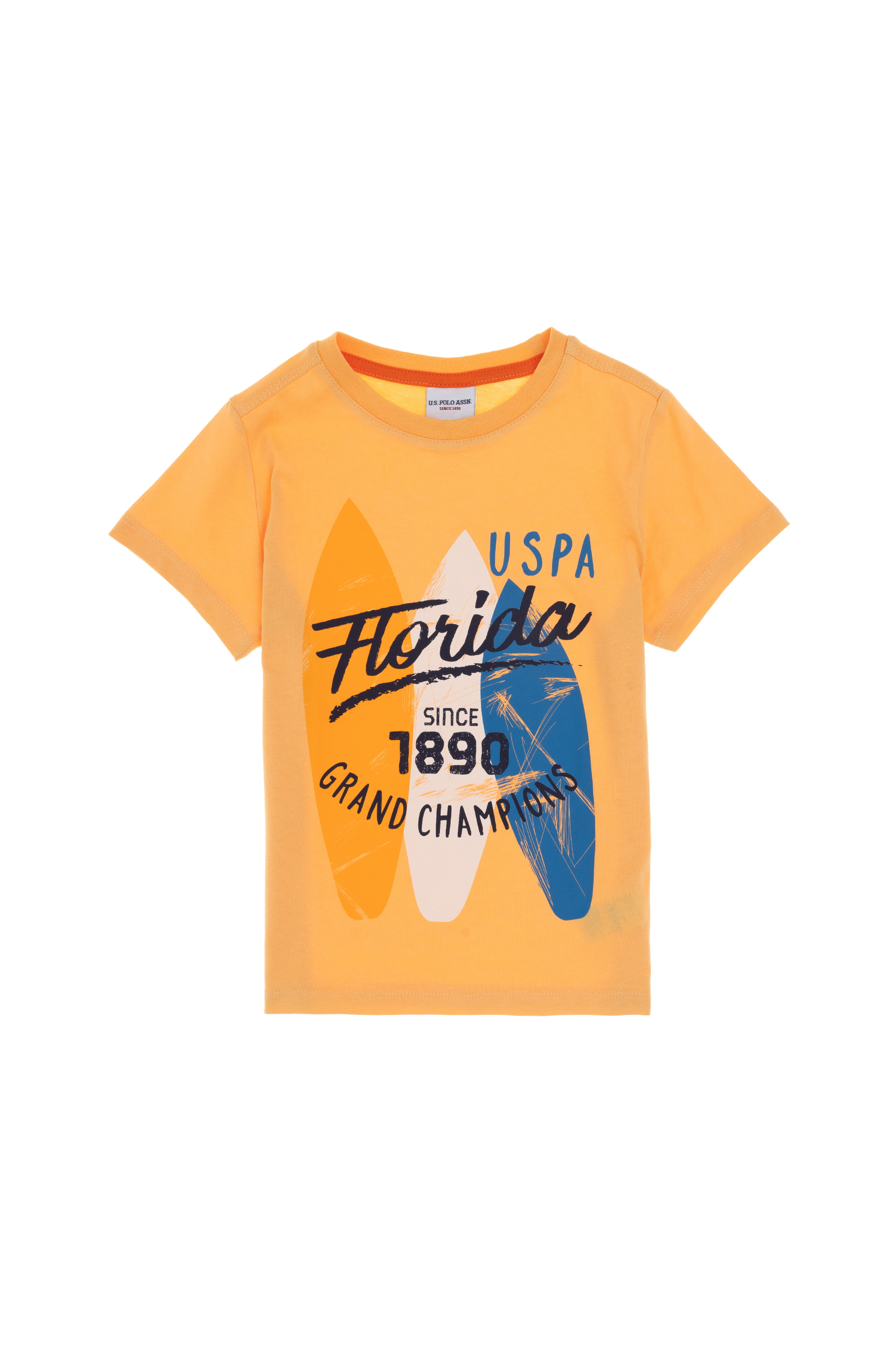 تی شرت یقه گرد زرد رگولار پسرانه یو اس پولو | US POLO ASSN