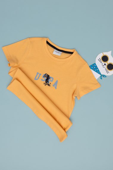 تی شرت یقه گرد  زرد  رگولار  پسرانه یو اس پولو | US POLO ASSN