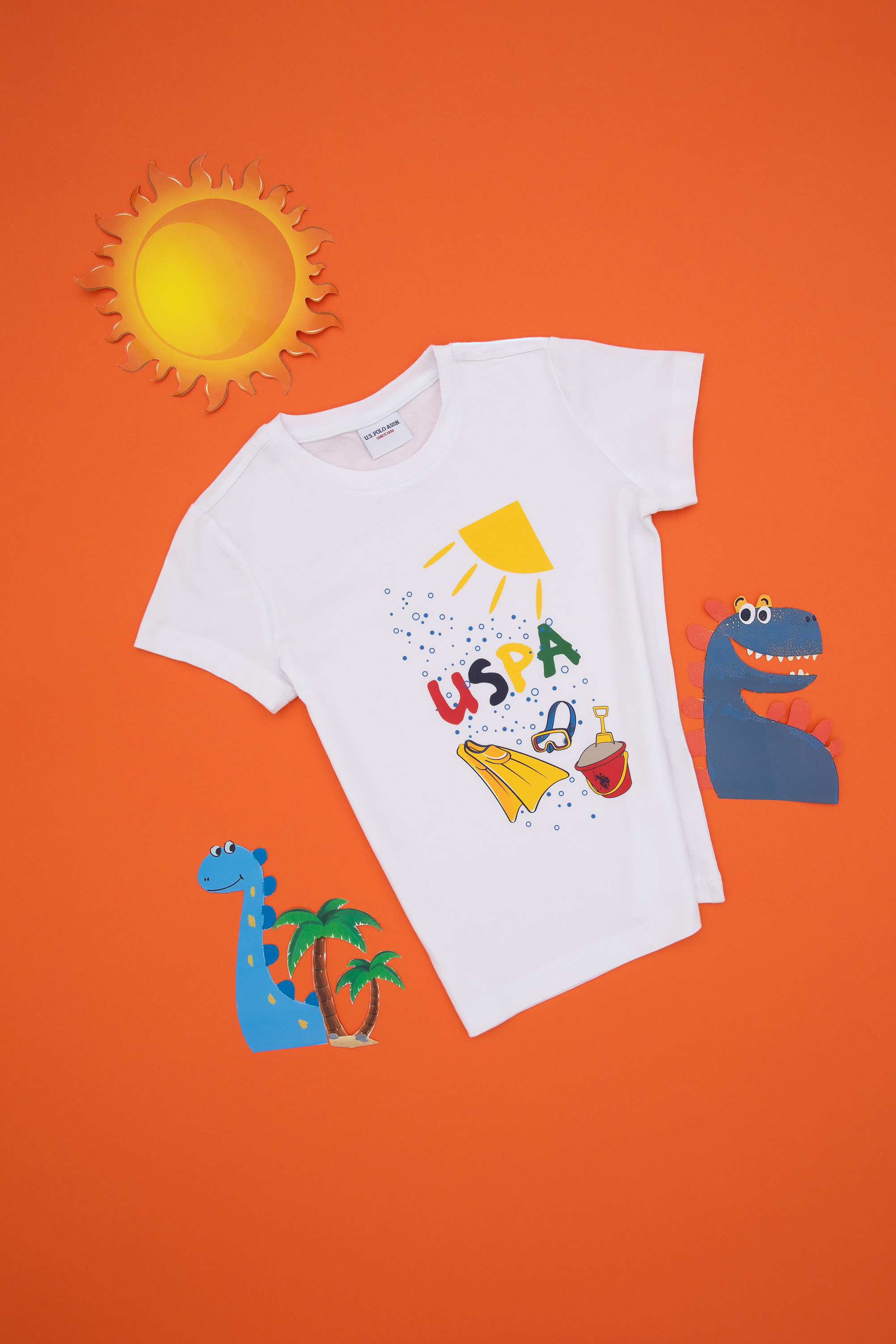 تی شرت یقه گرد سفید رگولار پسرانه یو اس پولو | US POLO ASSN