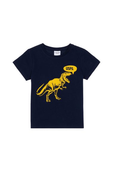 تی شرت یقه گرد  لاجورد  رگولار  پسرانه یو اس پولو | US POLO ASSN