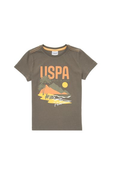 تی شرت یقه گرد  خاکی  رگولار  پسرانه یو اس پولو | US POLO ASSN