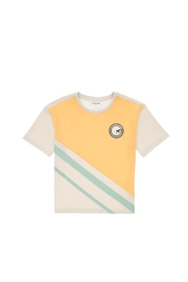 تی شرت یقه گرد زرد ریلکس پسرانه یو اس پولو | US POLO ASSN