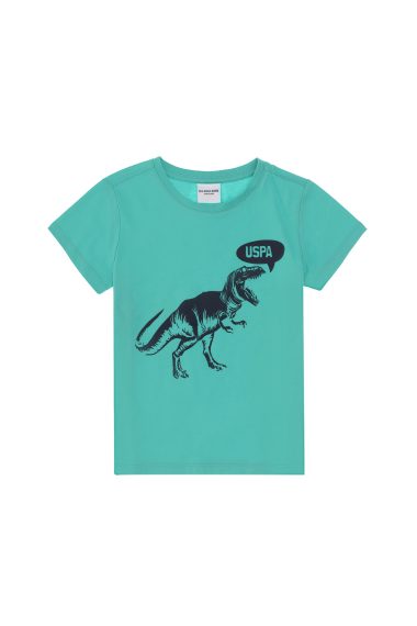 تی شرت یقه گرد  نعناعی  رگولار  پسرانه یو اس پولو | US POLO ASSN