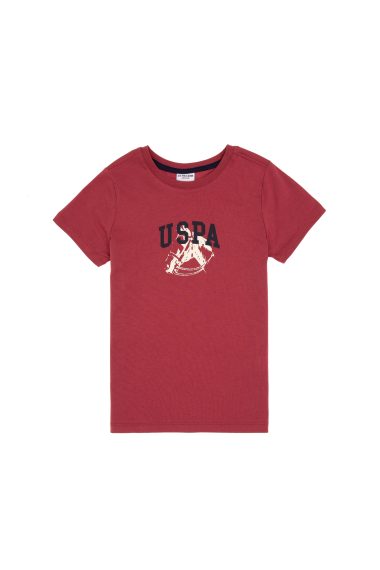 تی شرت یقه گرد  آلبالویی  رگولار  پسرانه یو اس پولو | US POLO ASSN