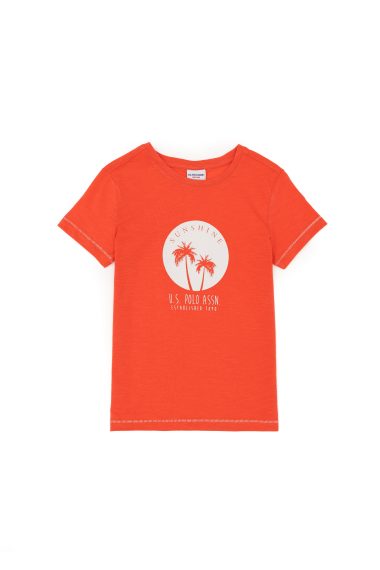 تی شرت یقه گرد  گل اناری  رگولار  پسرانه یو اس پولو | US POLO ASSN