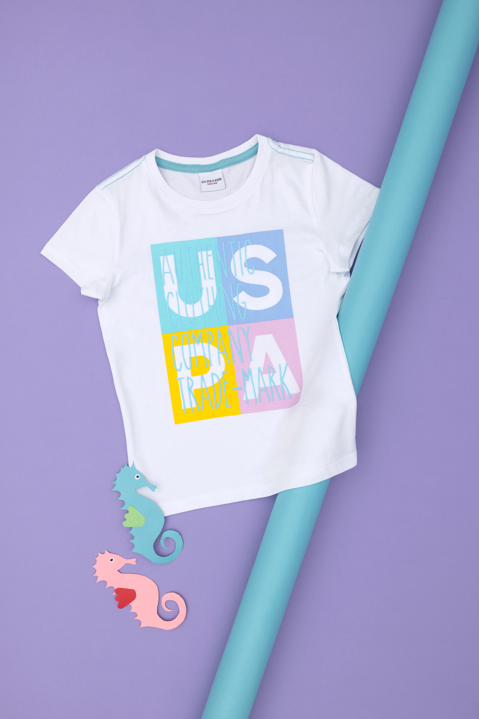 تی شرت یقه گرد سفید رگولار پسرانه یو اس پولو | US POLO ASSN