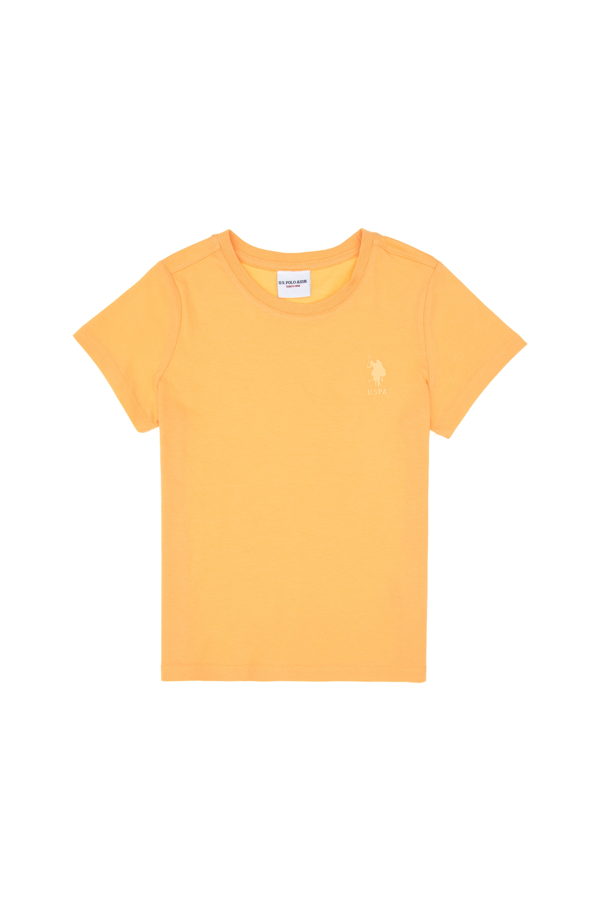 تی شرت یقه گرد بیسیک زرد رگولار پسرانه یو اس پولو | US POLO ASSN