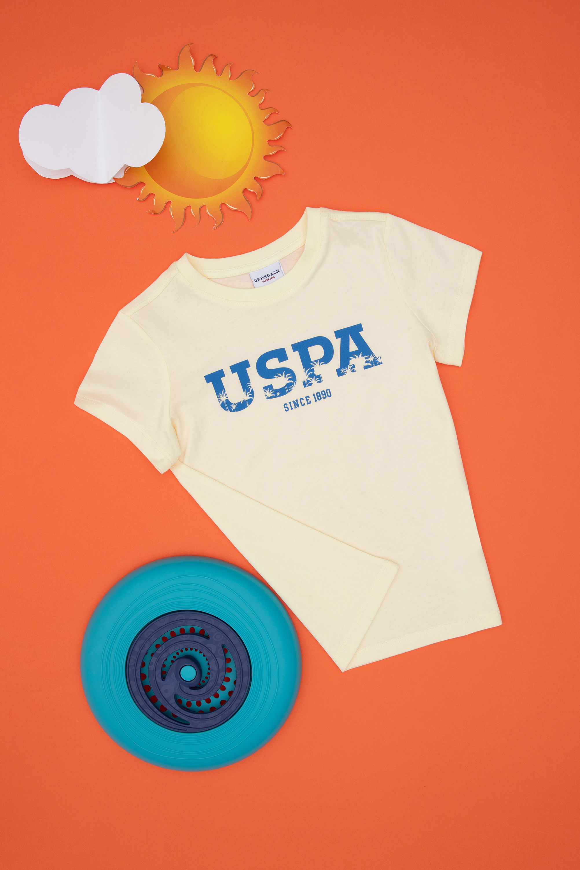 تی شرت یقه گرد بیسیک لیمویی رگولار پسرانه یو اس پولو | US POLO ASSN