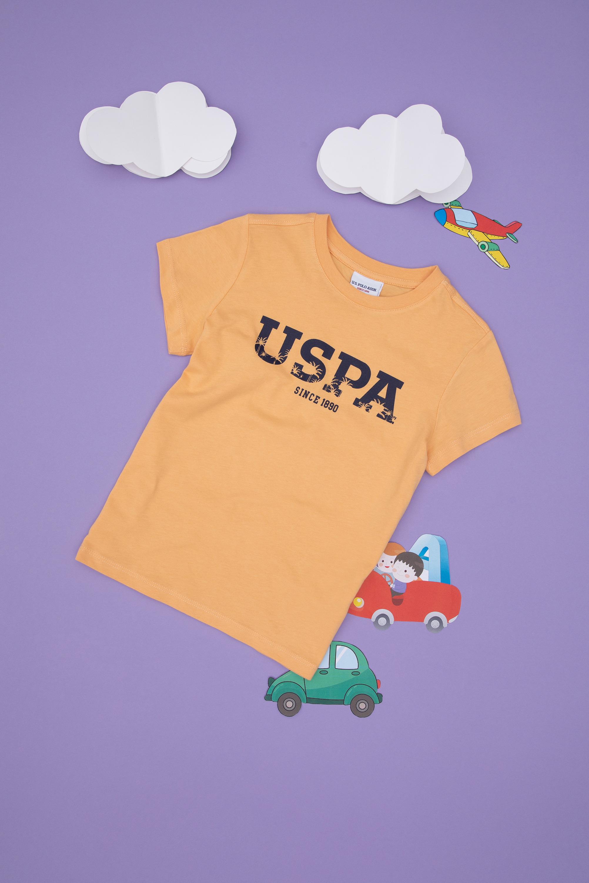 تی شرت یقه گرد بیسیک زرد رگولار پسرانه یو اس پولو | US POLO ASSN