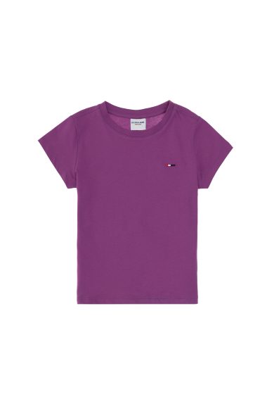 تی شرت یقه گرد بیسیک بنفش رگولار پسرانه یو اس پولو | US POLO ASSN