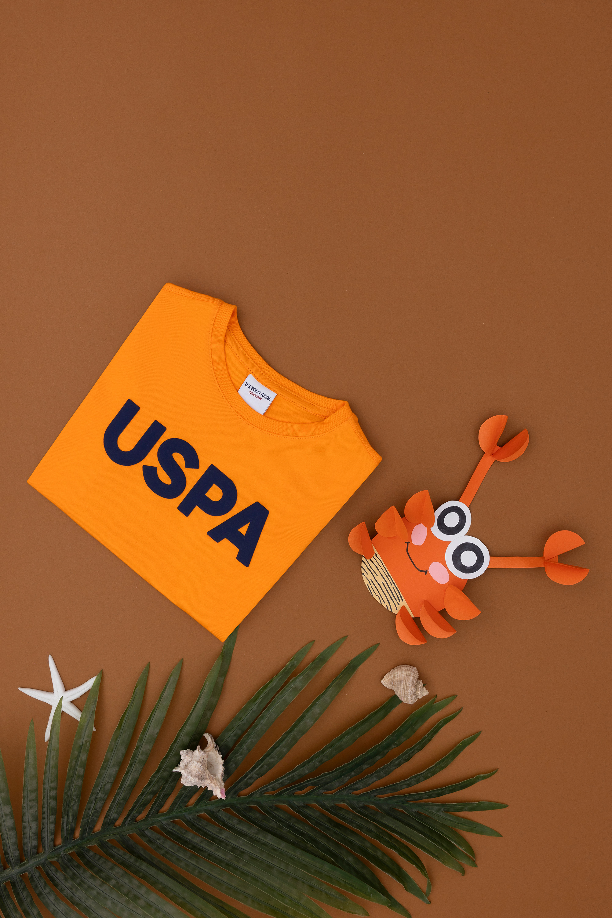 تی شرت یقه گرد بیسیک نارنجی رگولار پسرانه یو اس پولو | US POLO ASSN