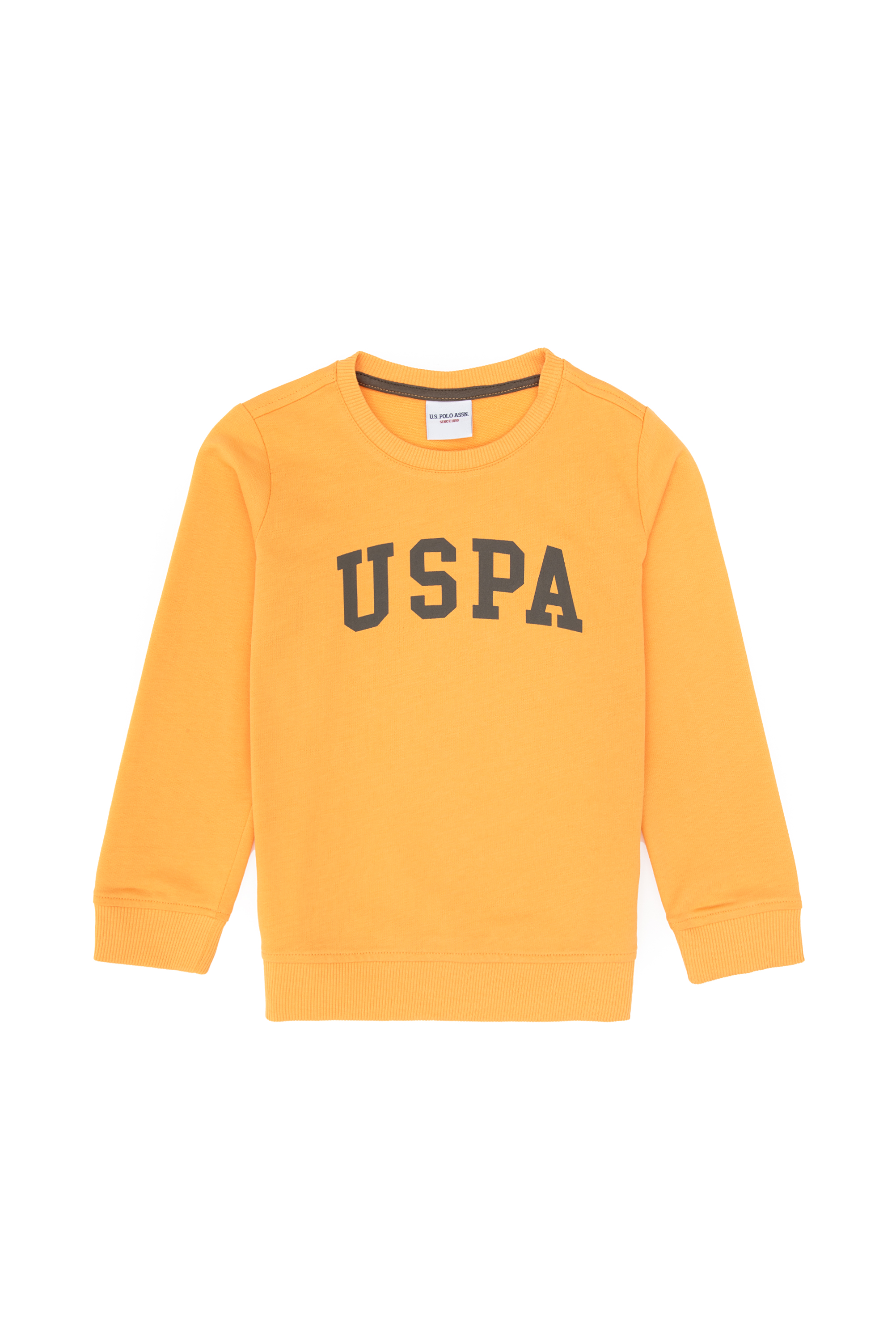 سویشرت بیسیک یقه گرد زرد رگولار پسرانه یو اس پولو | US POLO ASSN