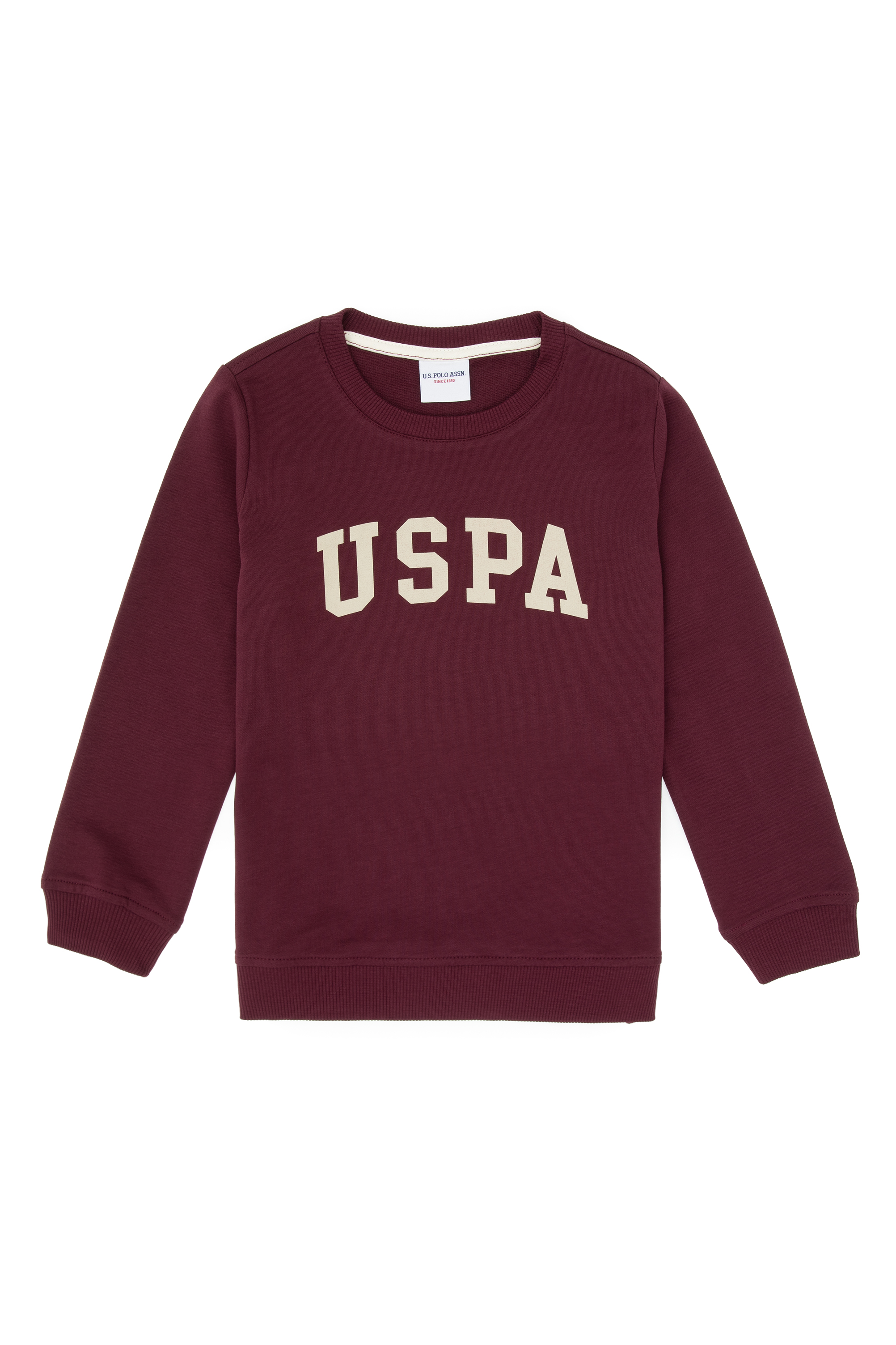 سویشرت یقه گرد بیسیک آلبالویی رگولار پسرانه یو اس پولو | US POLO ASSN