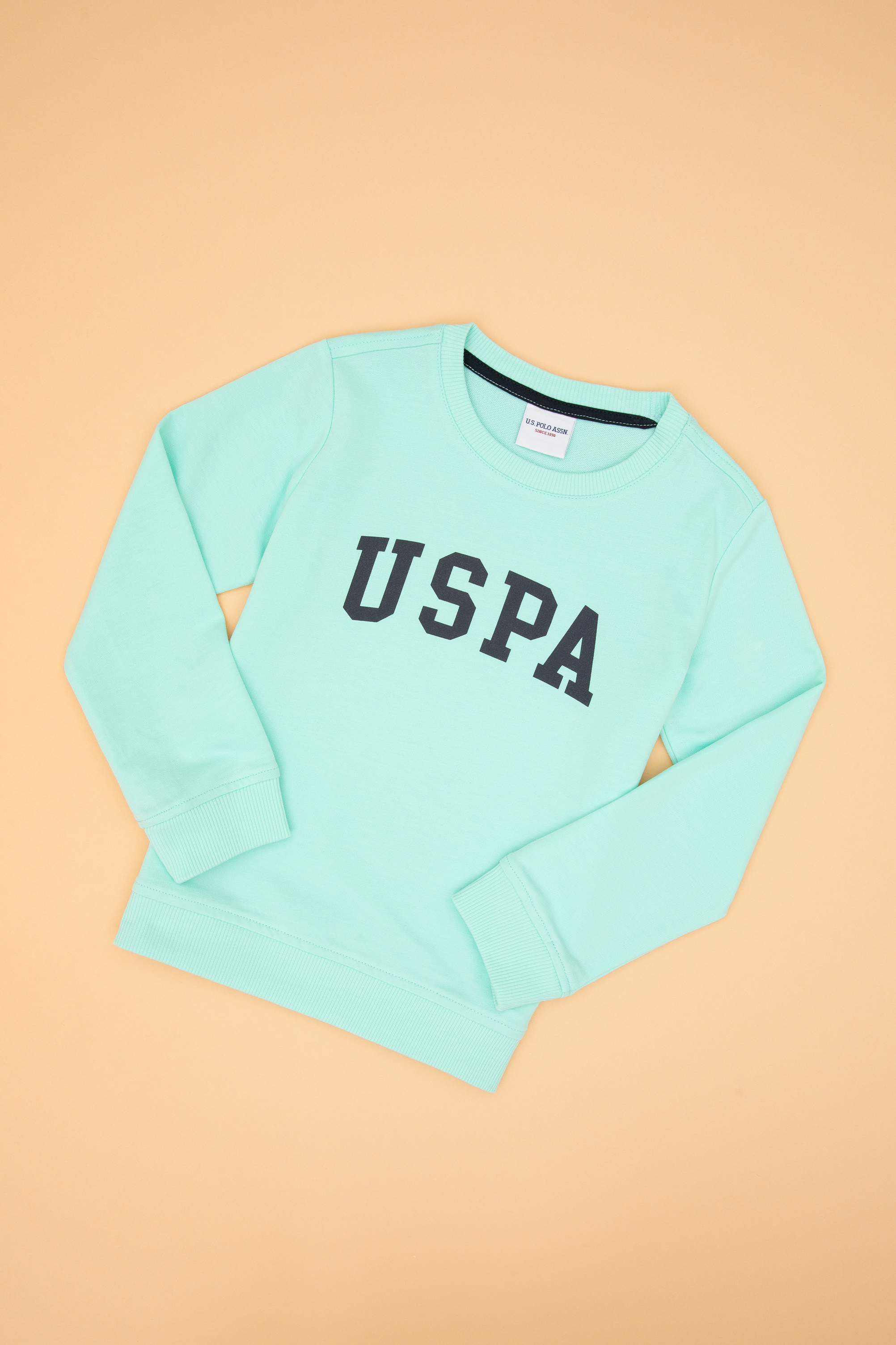 سویشرت یقه گرد بیسیک سبز رگولار پسرانه یو اس پولو | US POLO ASSN