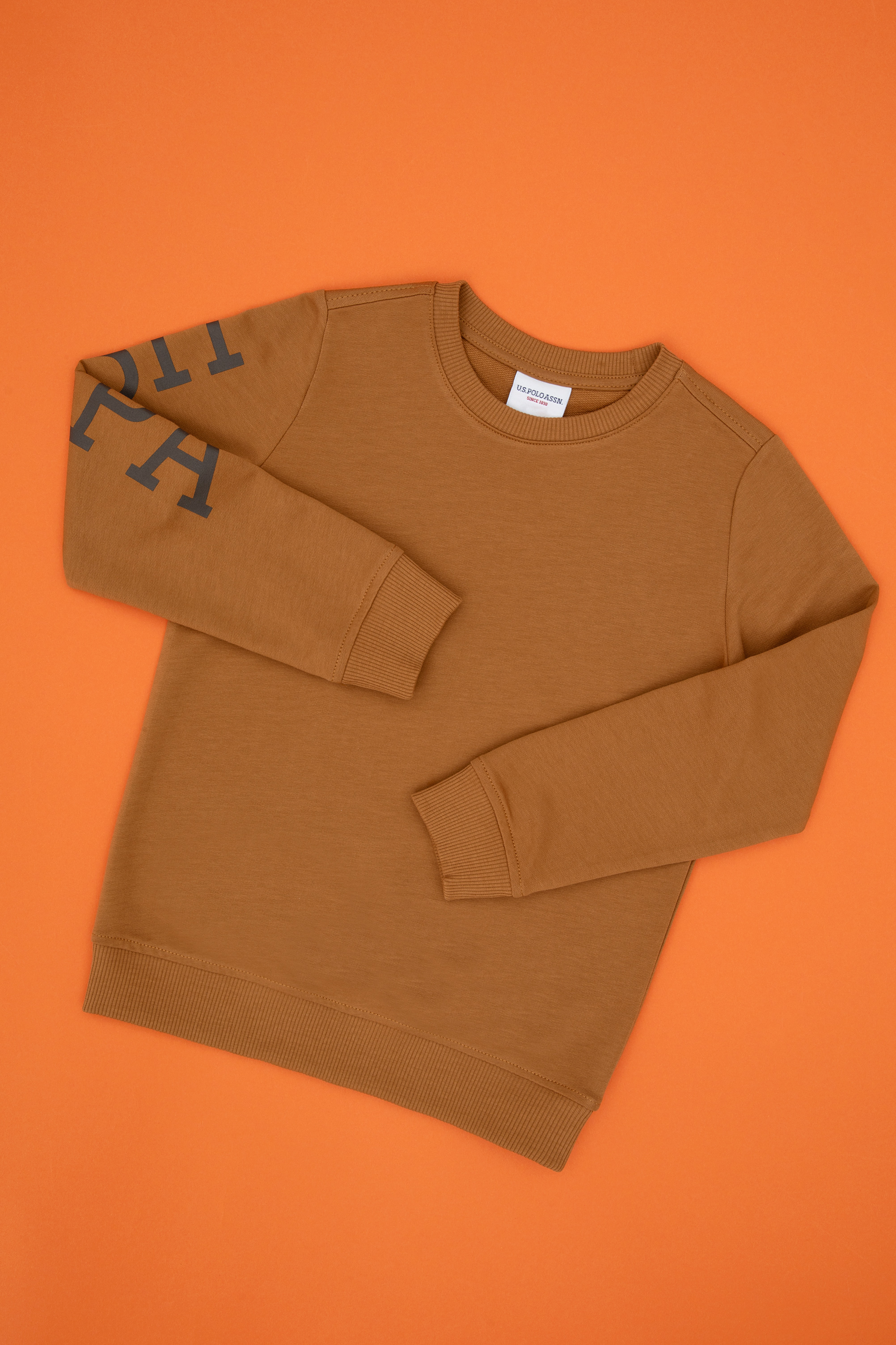 سویشرت یقه گرد بیسیک شتری رگولار پسرانه یو اس پولو | US POLO ASSN
