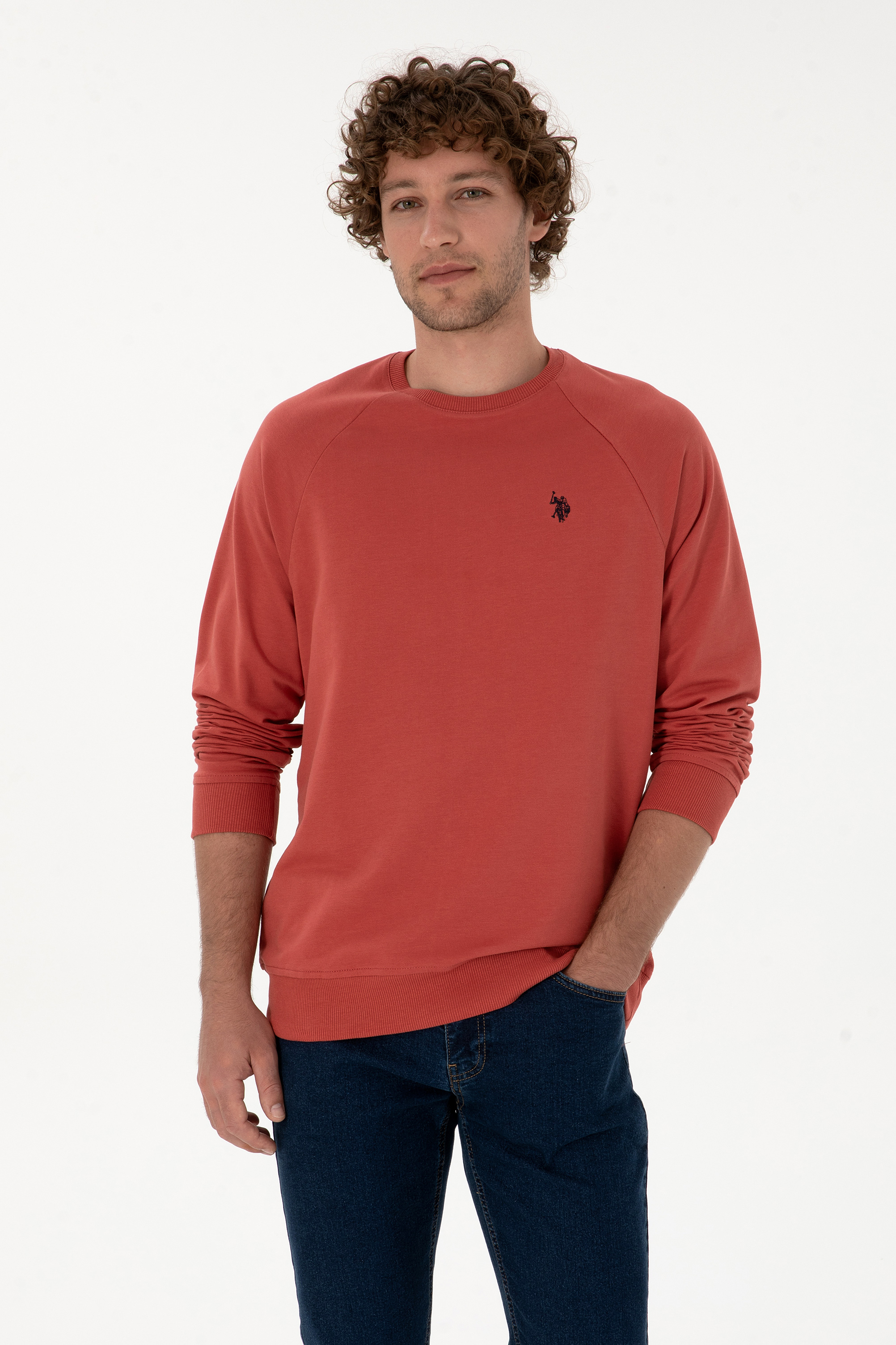 سویشرت بیسیک رز خشک رگولار مردانه یو اس پولو | US POLO ASSN