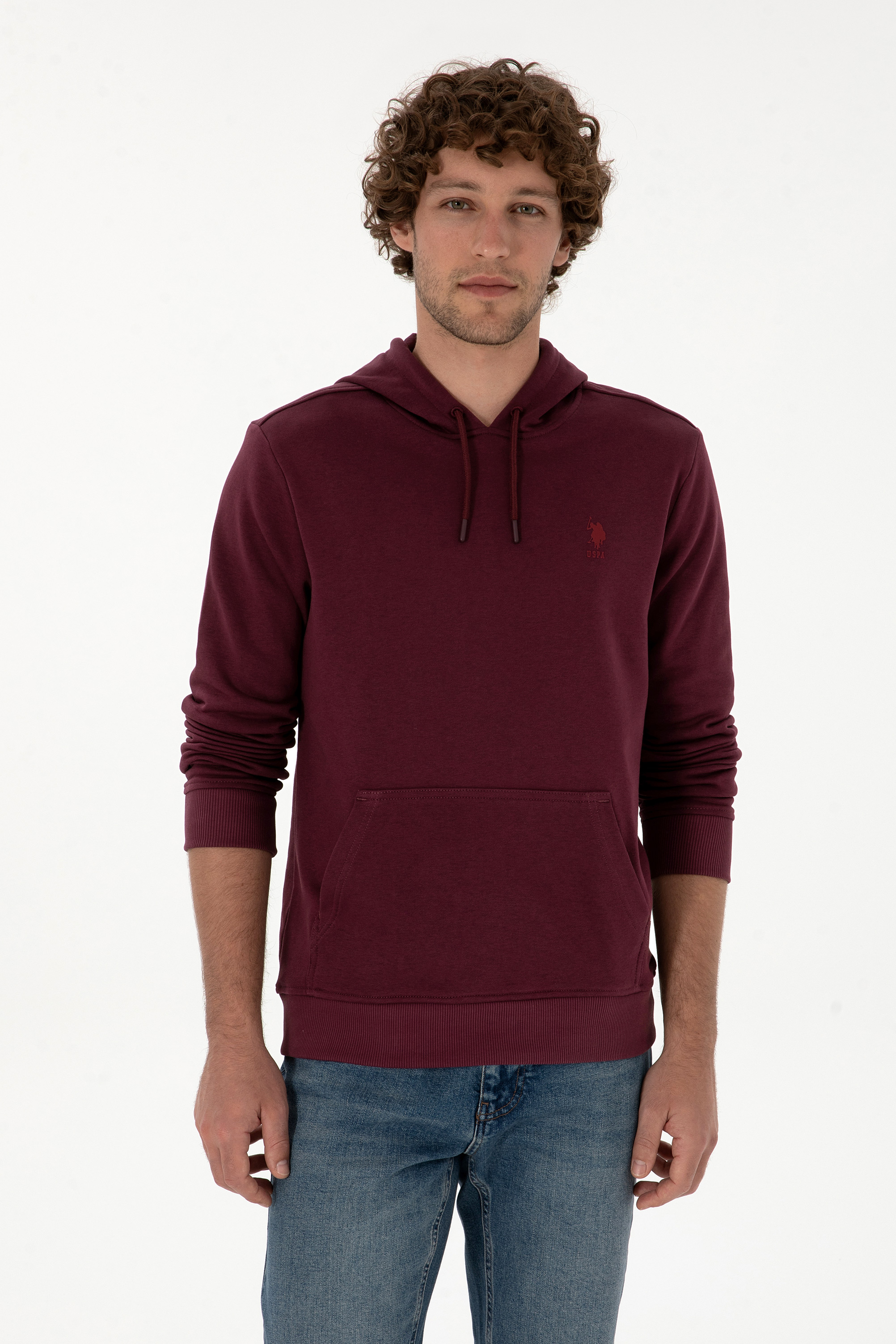 سویشرت بیسیک آلبالویی رگولار مردانه یو اس پولو | US POLO ASSN