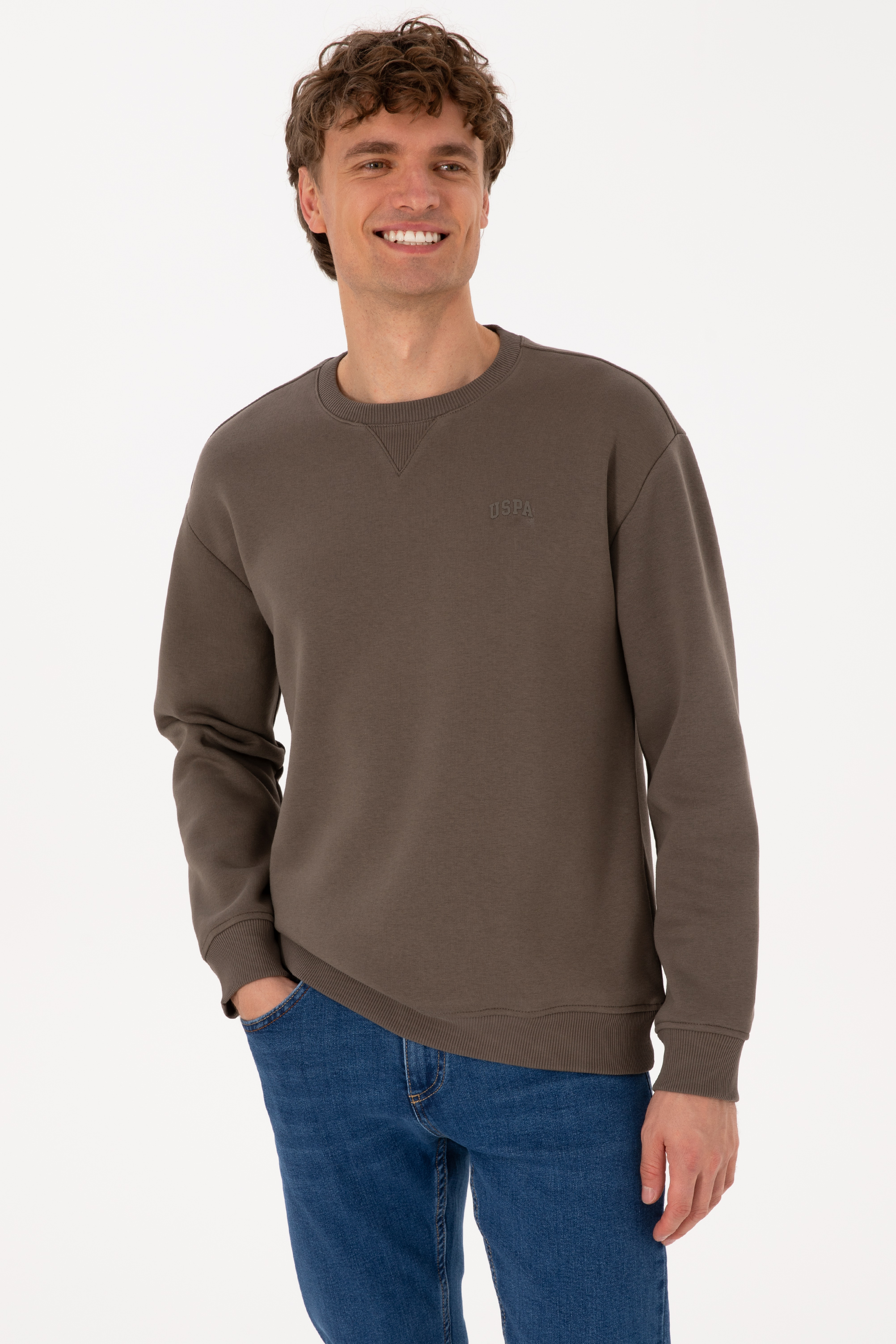 سویشرت بیسیک ویزون ریلکس مردانه یو اس پولو | US POLO ASSN
