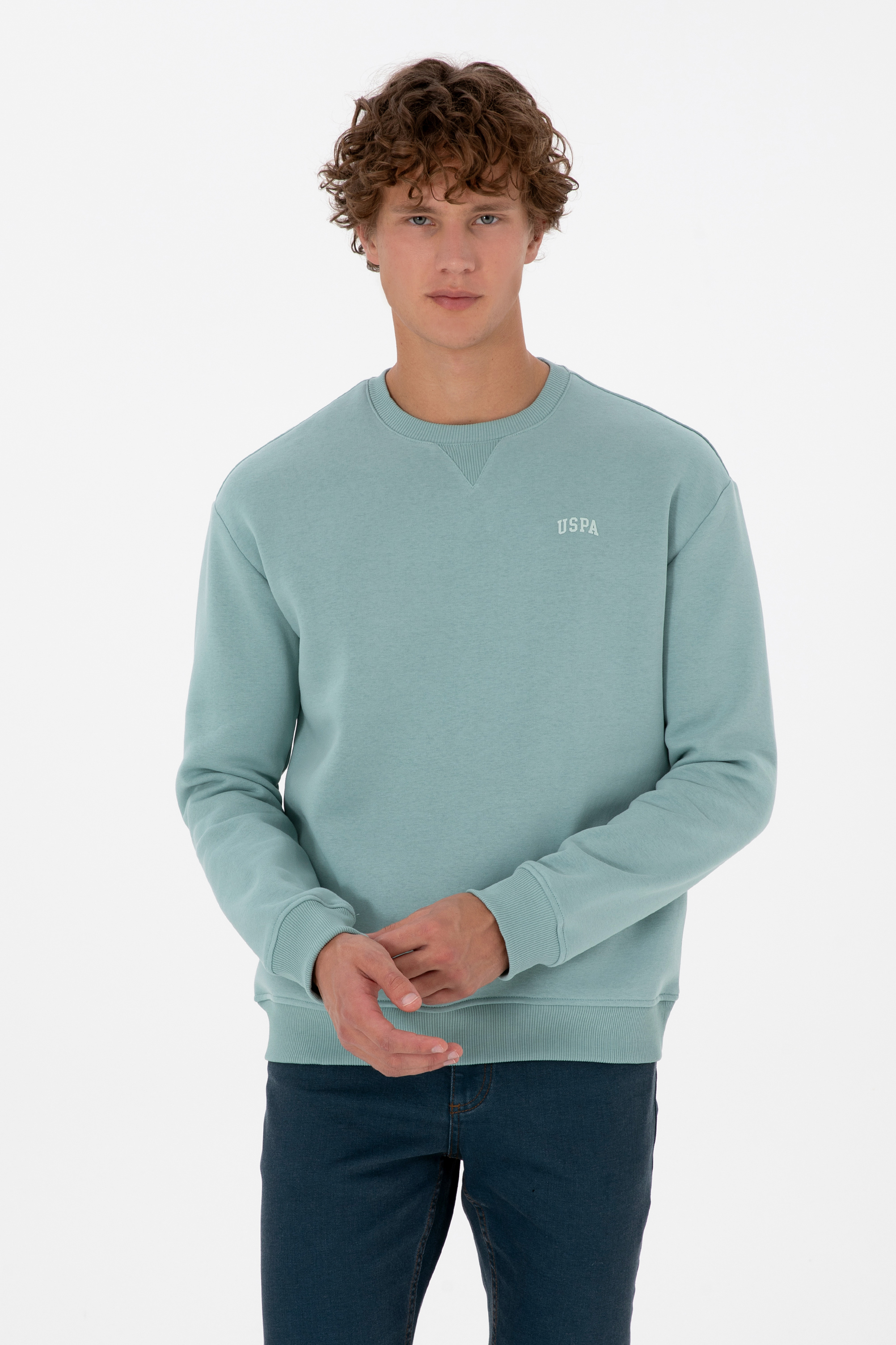 سویشرت بیسیک نعناعی ریلکس مردانه یو اس پولو | US POLO ASSN
