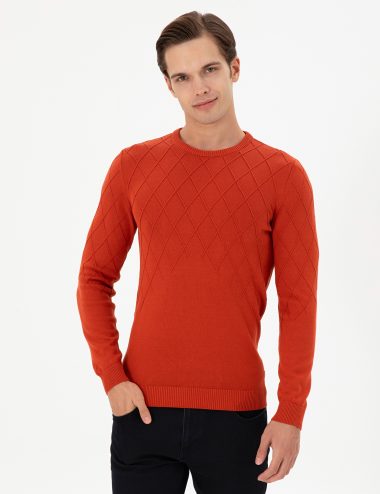 بافت یقه گرد آجری  اندامی آستین بلند مردانه یو اس پولو | US POLO ASSN