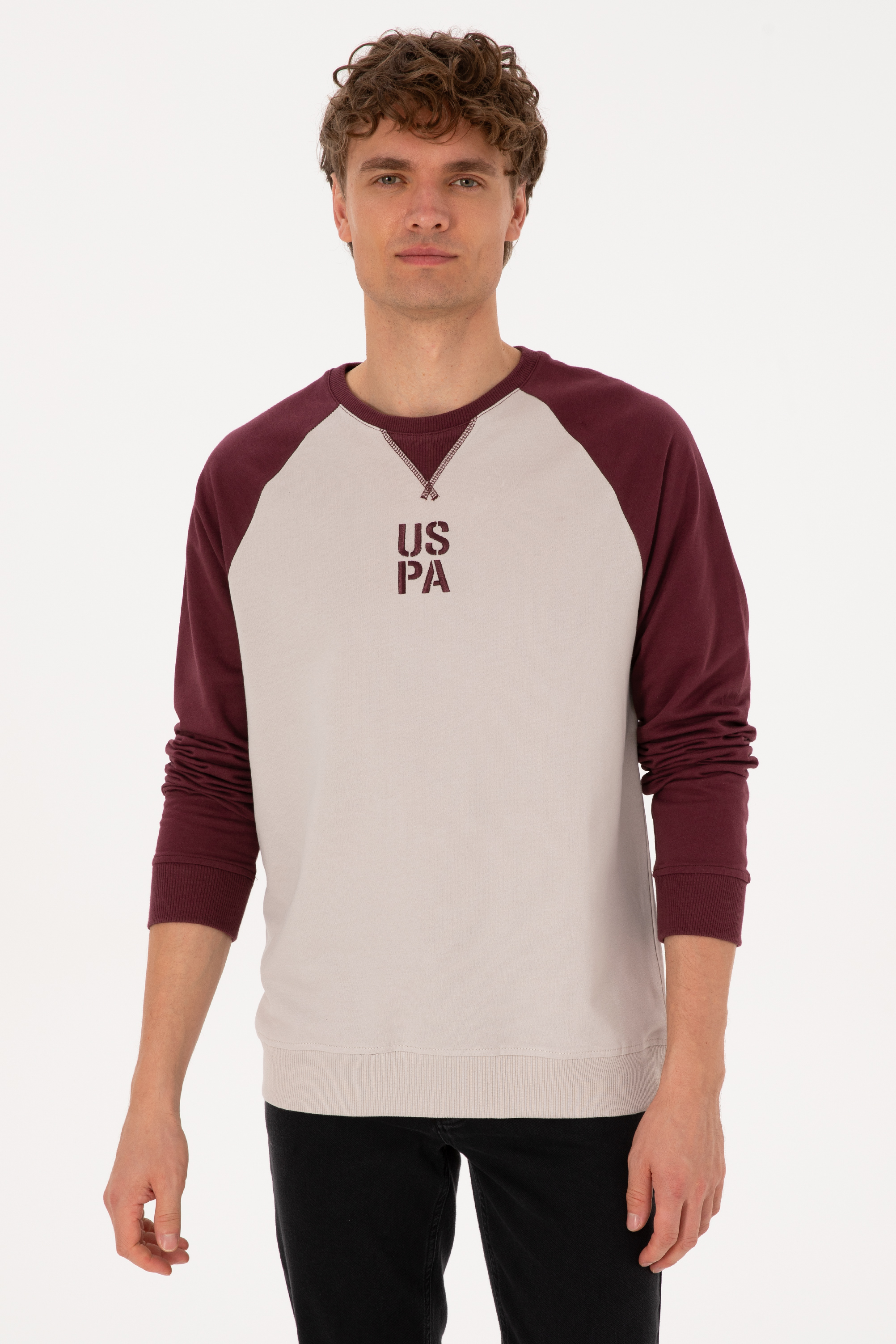 سویشرت آلبالویی رگولار مردانه یو اس پولو | US POLO ASSN