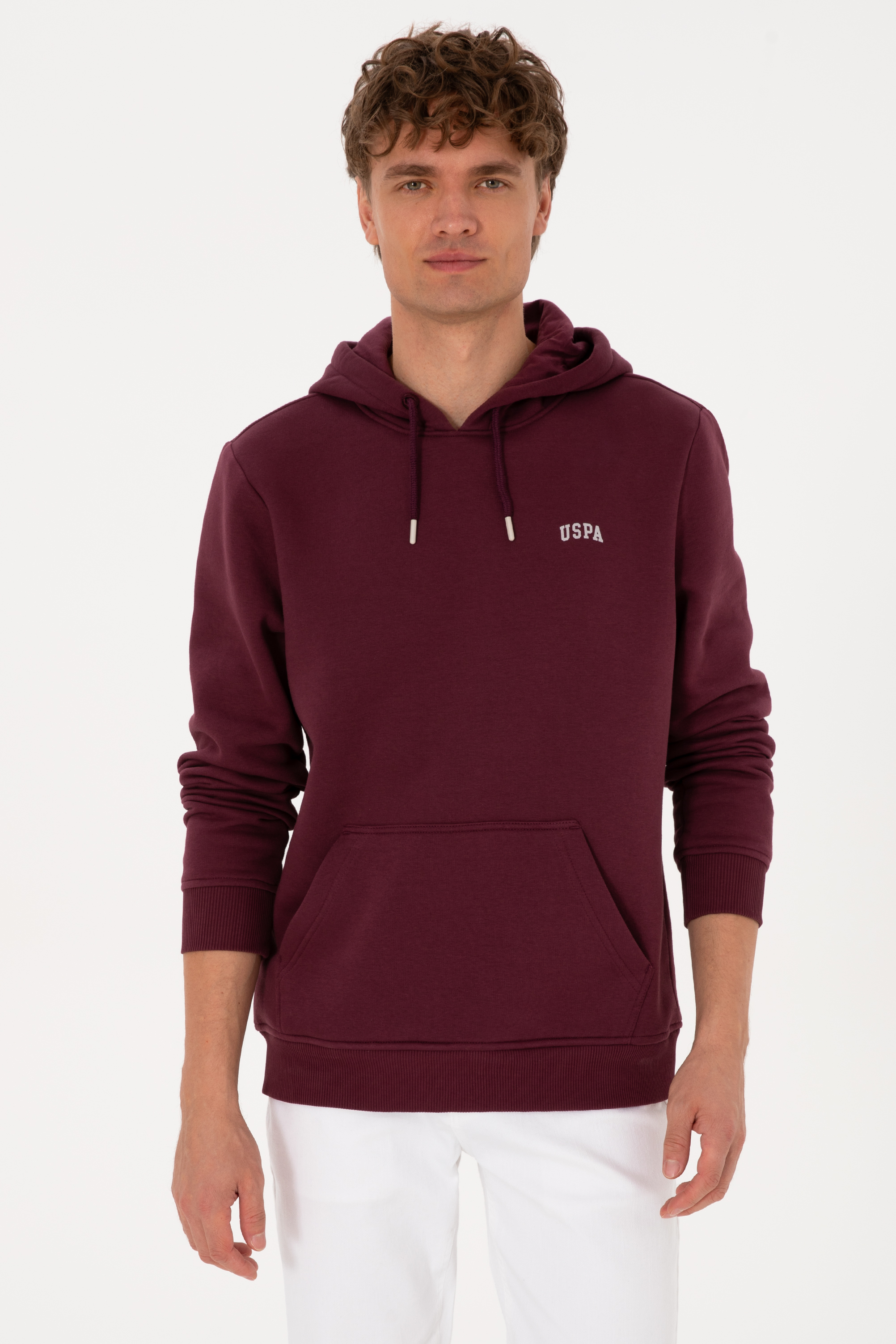 سویشرت بیسیک آلبالویی رگولار مردانه یو اس پولو | US POLO ASSN