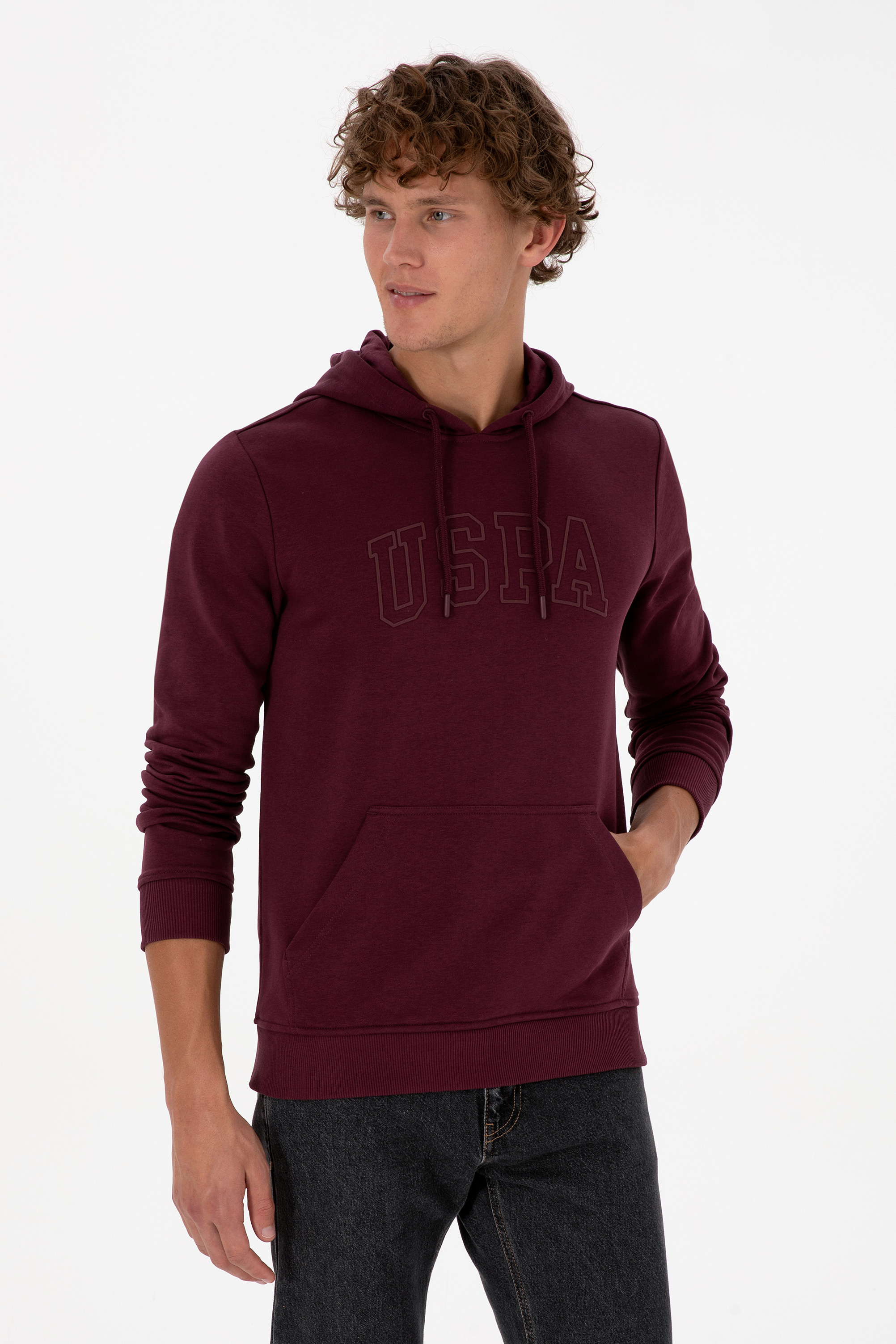 سویشرت بیسیک آلبالویی رگولار مردانه یو اس پولو | US POLO ASSN