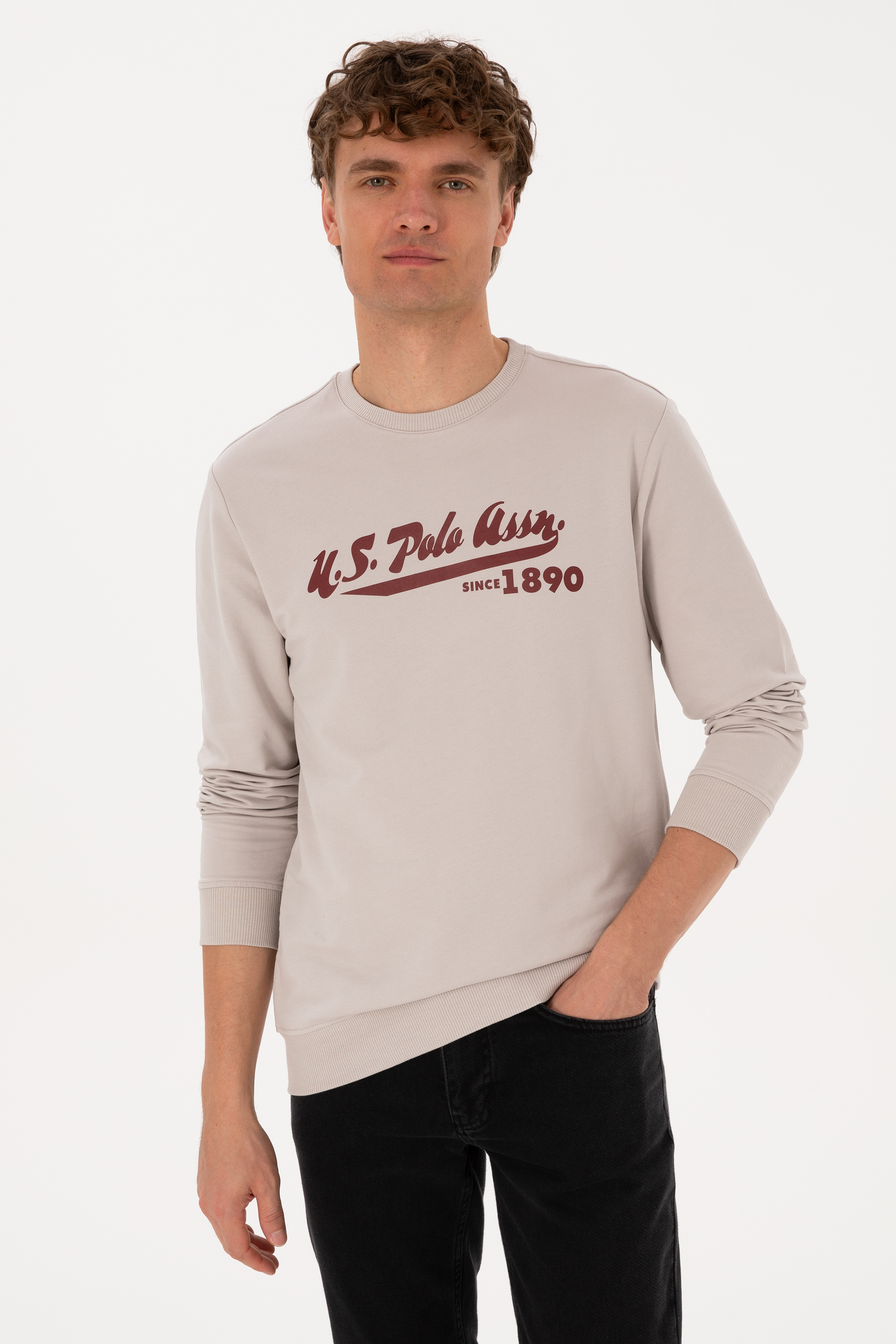 سویشرت خاکستری رگولار مردانه یو اس پولو | US POLO ASSN