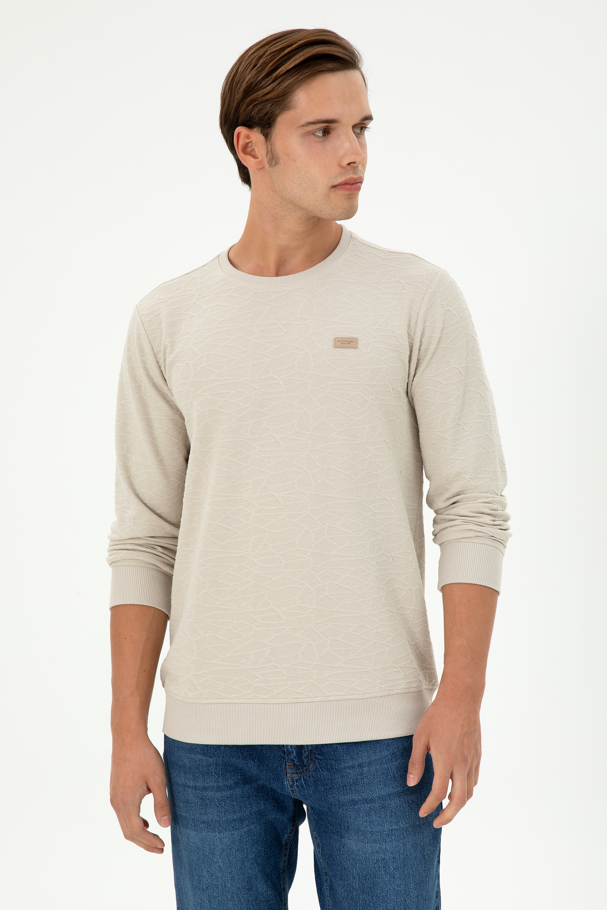 سویشرت یقه گرد خاکستری رگولار آستین بلند مردانه یو اس پولو | US POLO ASSN