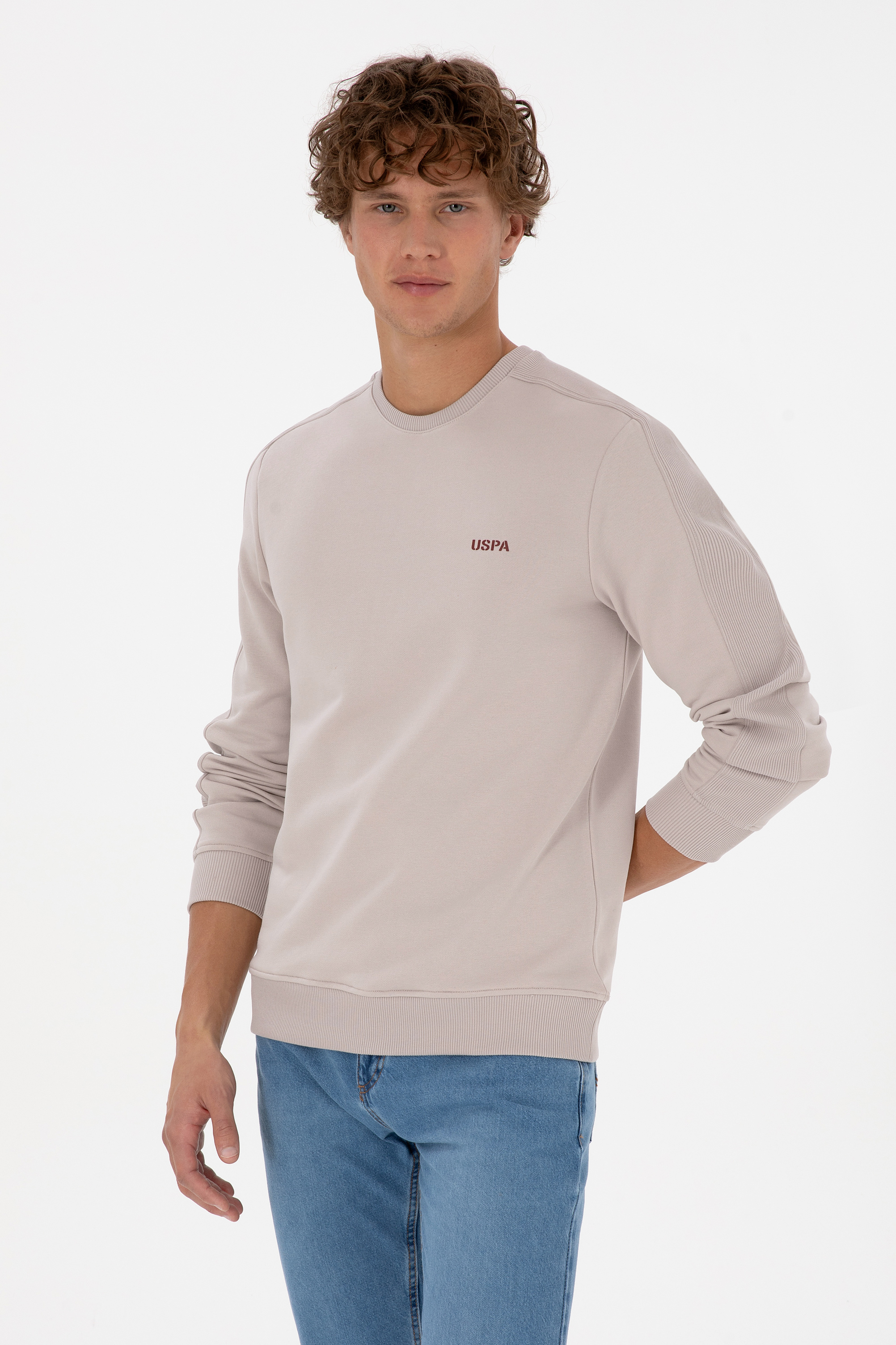 سویشرت خاکستری رگولار مردانه یو اس پولو | US POLO ASSN