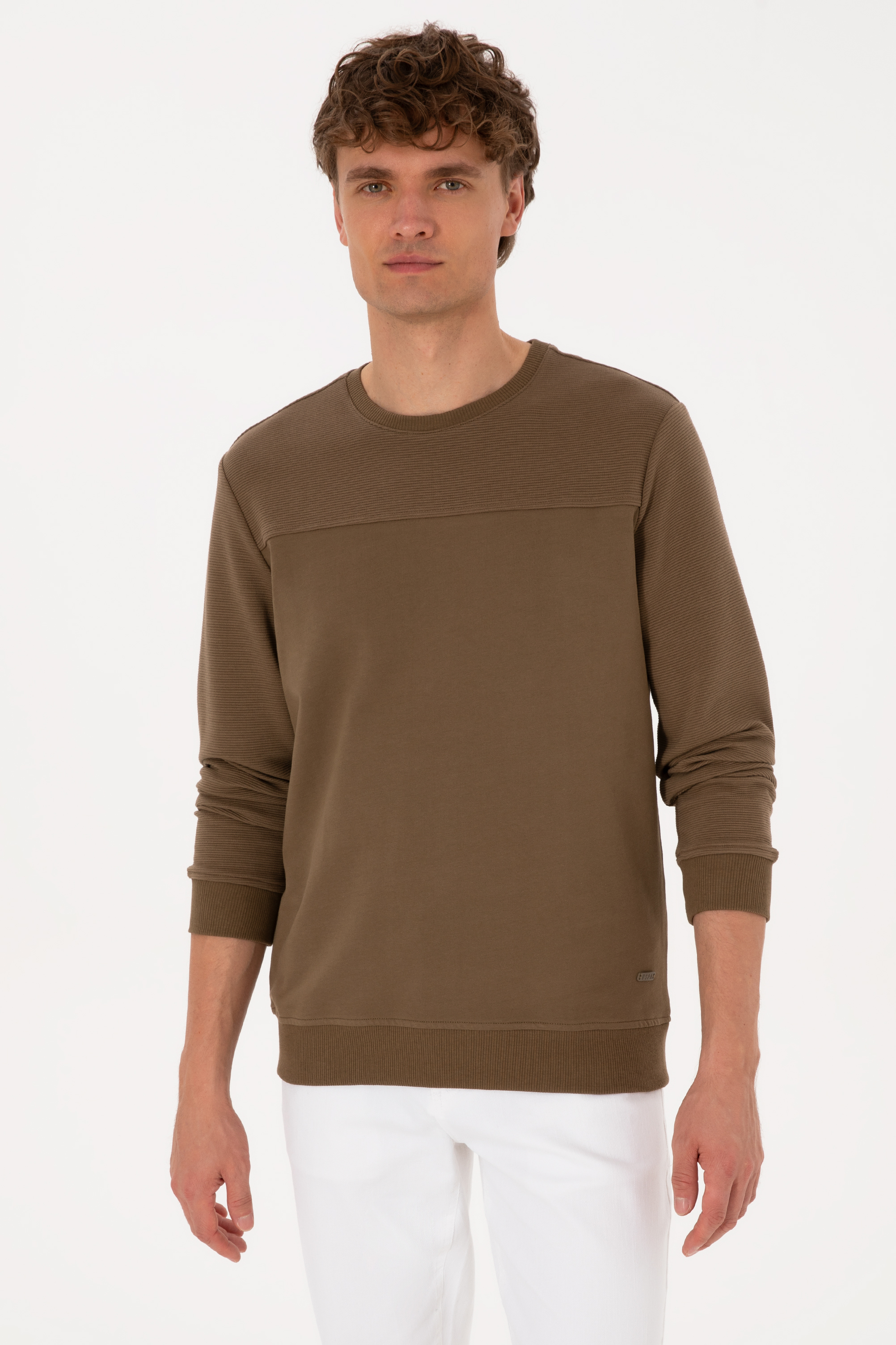 سویشرت خاکی رگولار مردانه یو اس پولو | US POLO ASSN
