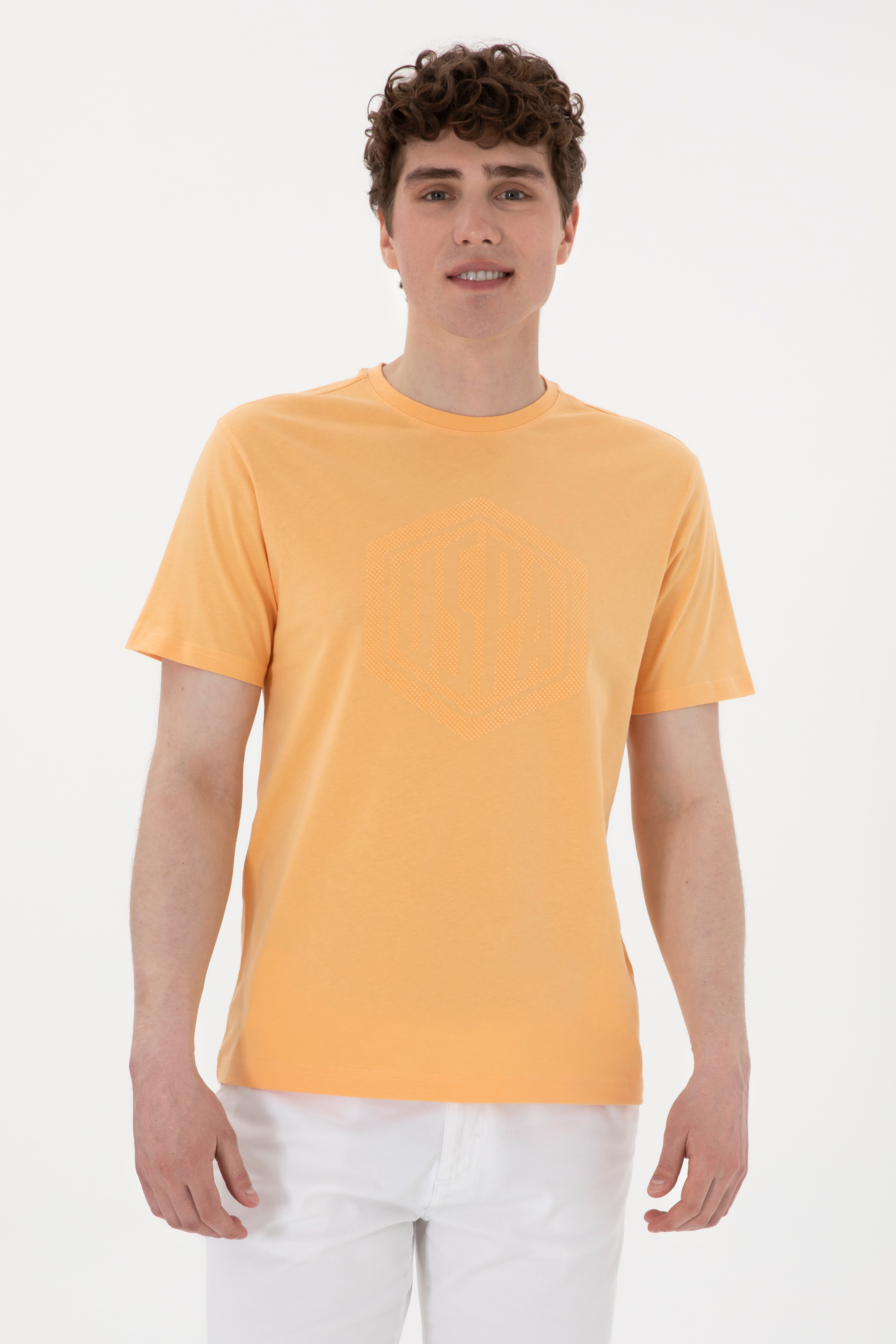 تی شرت یقه گرد زرد رگولار مردانه یو اس پولو | US POLO ASSN