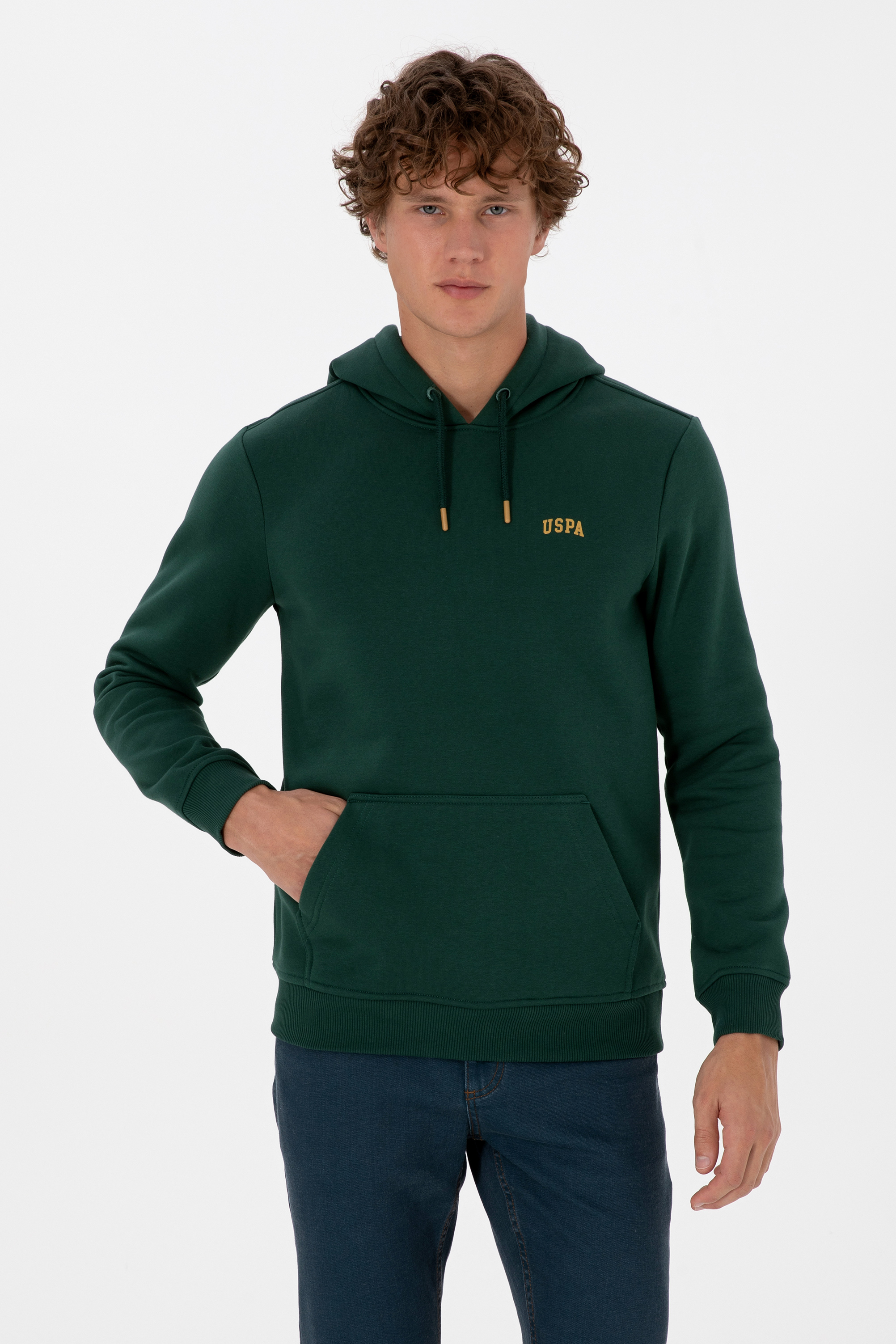 سویشرت بیسیک سبز تیره رگولار مردانه یو اس پولو | US POLO ASSN