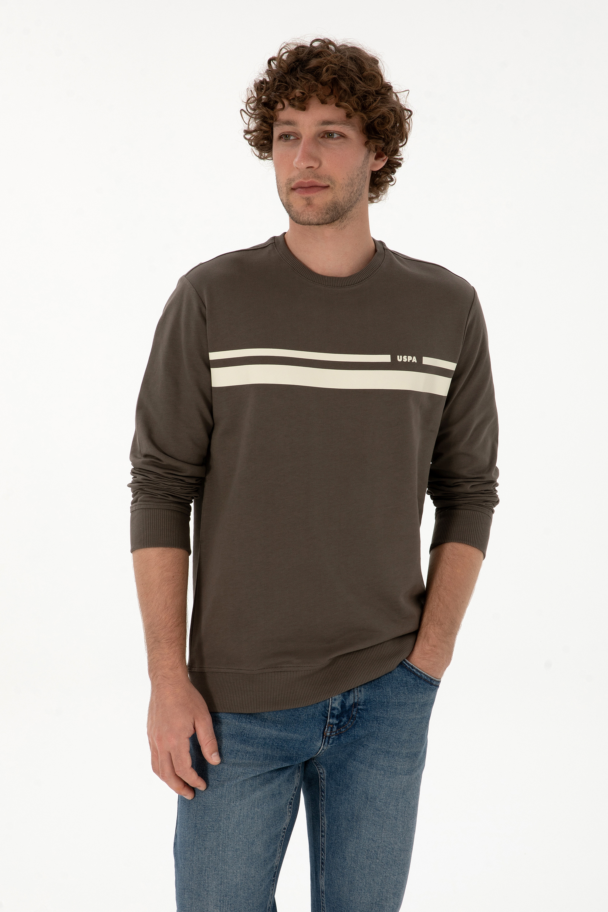 سویشرت ویزون رگولار مردانه یو اس پولو | US POLO ASSN