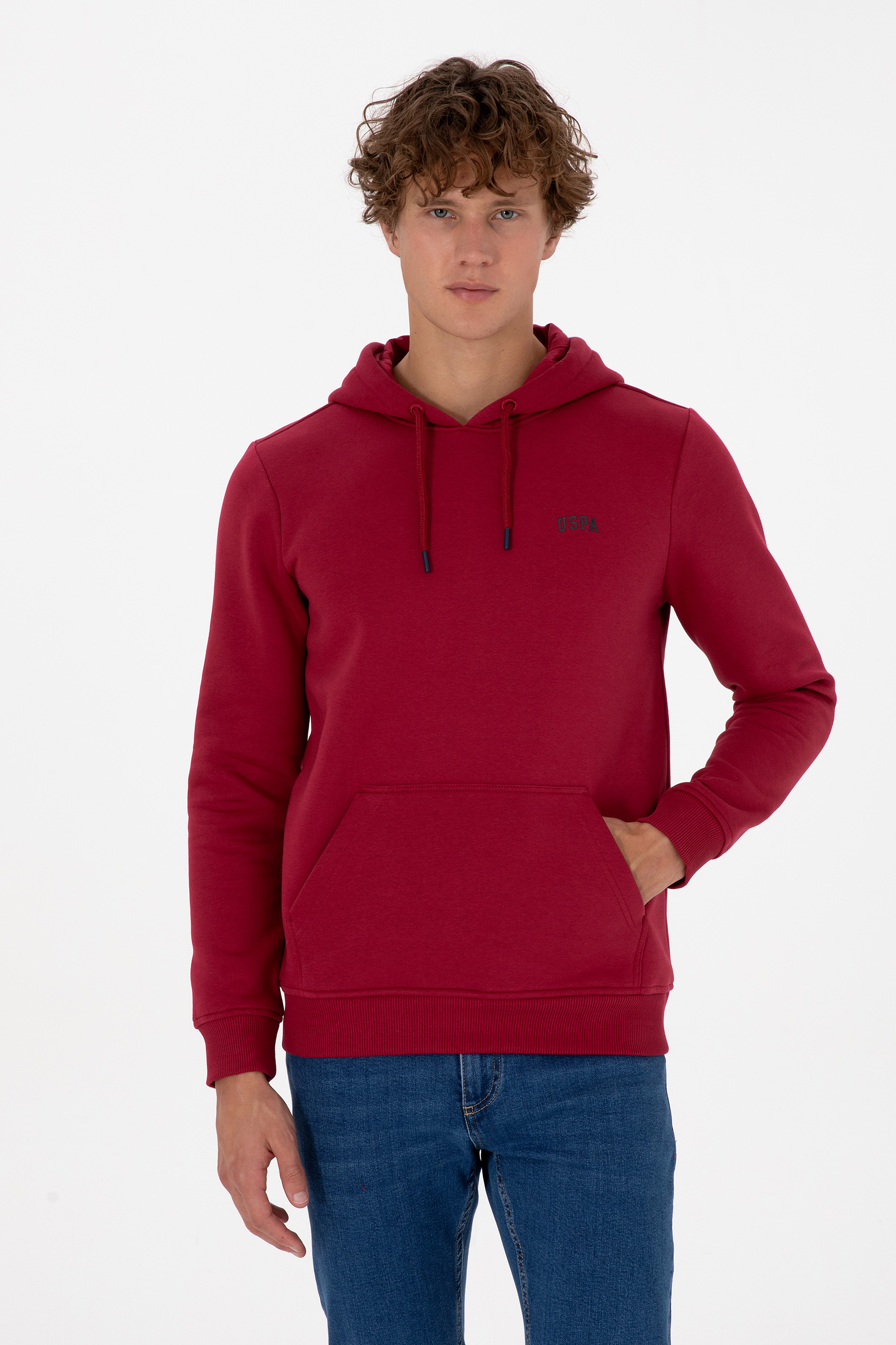 سویشرت بیسیک تمشکی رگولار مردانه یو اس پولو | US POLO ASSN