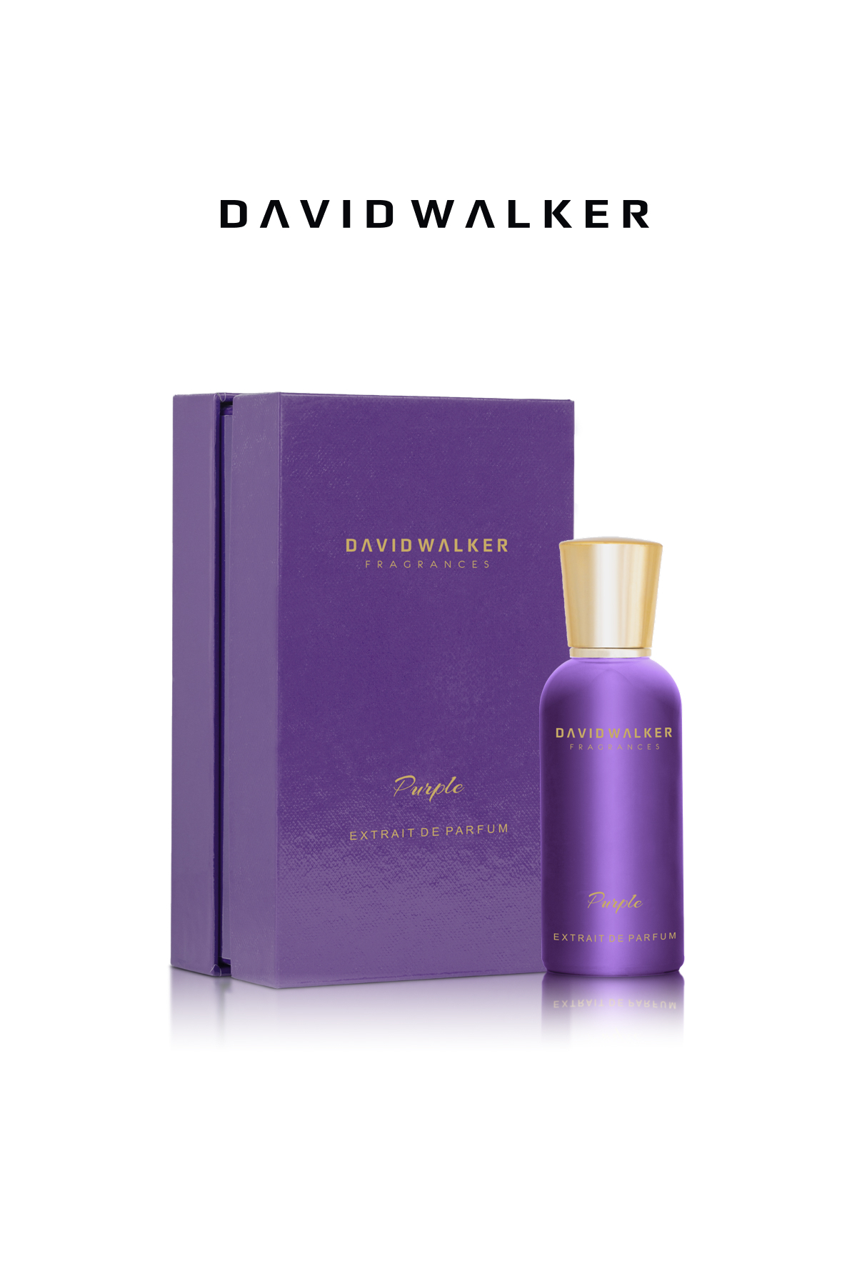 عطر زنانه | دیوید واکر David Walker SPECIAL SERIES 008