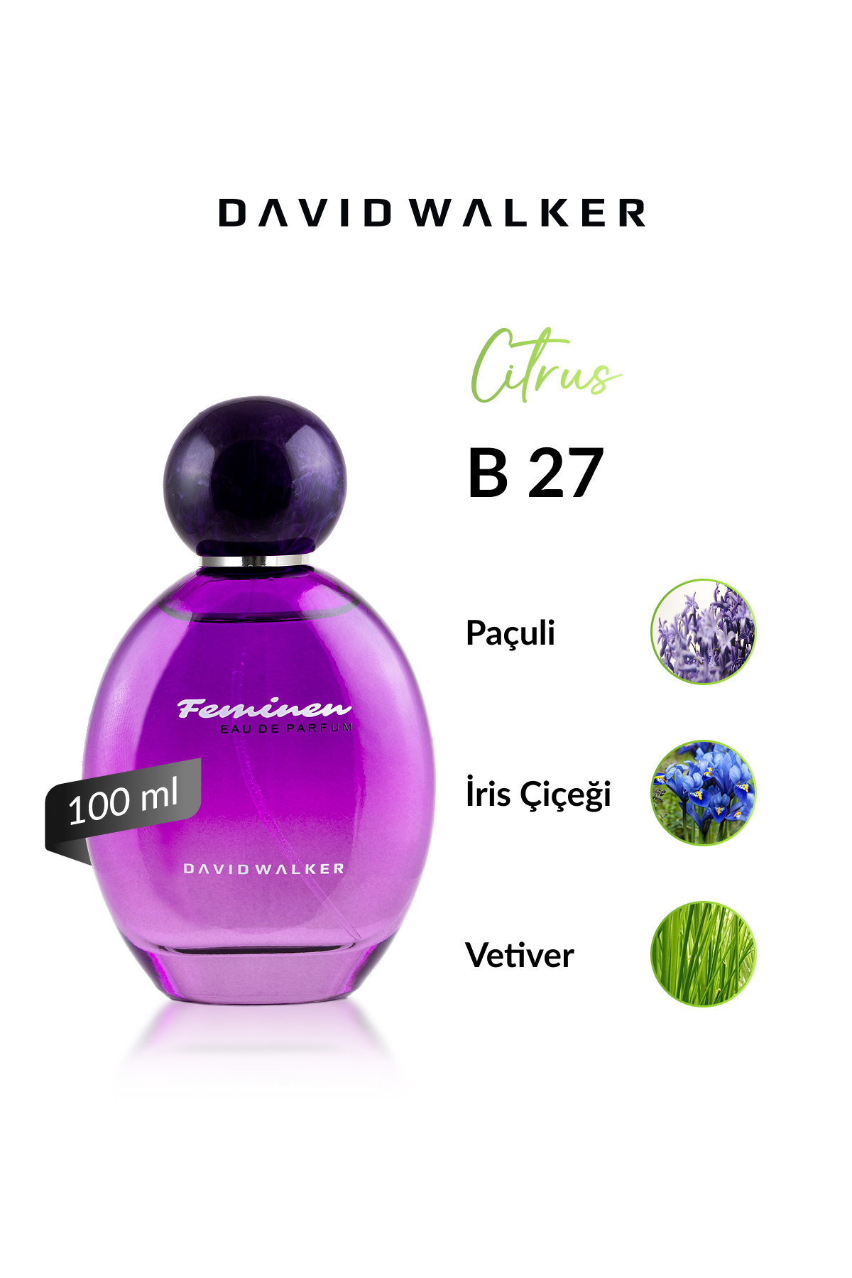 عطر زنانه | دیوید واکر David Walker B-027 DW 100