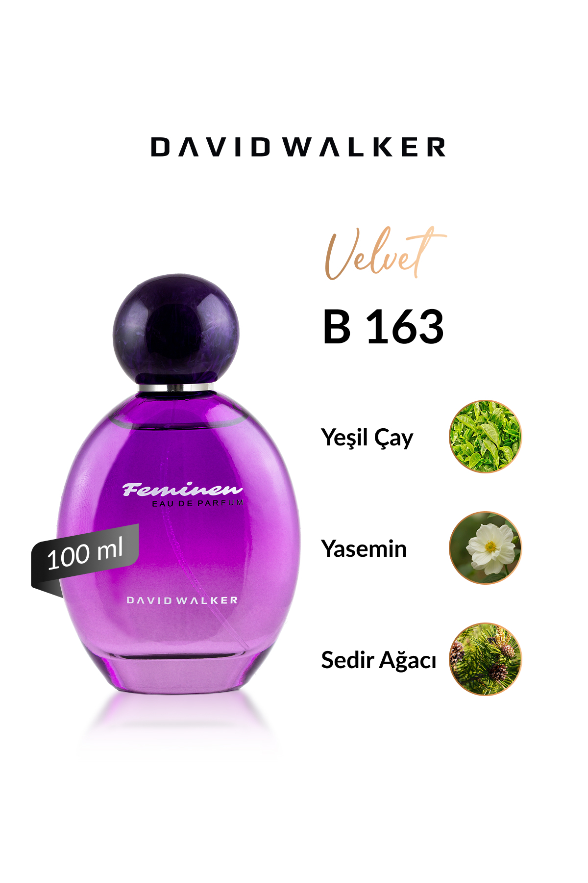 عطر زنانه | دیوید واکر David Walker B-163 DW 100