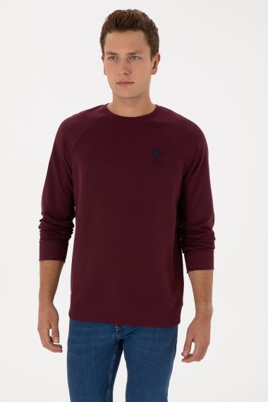 سویشرت بیسیک  آلبالویی  رگولار  مردانه یو اس پولو | US POLO ASSN